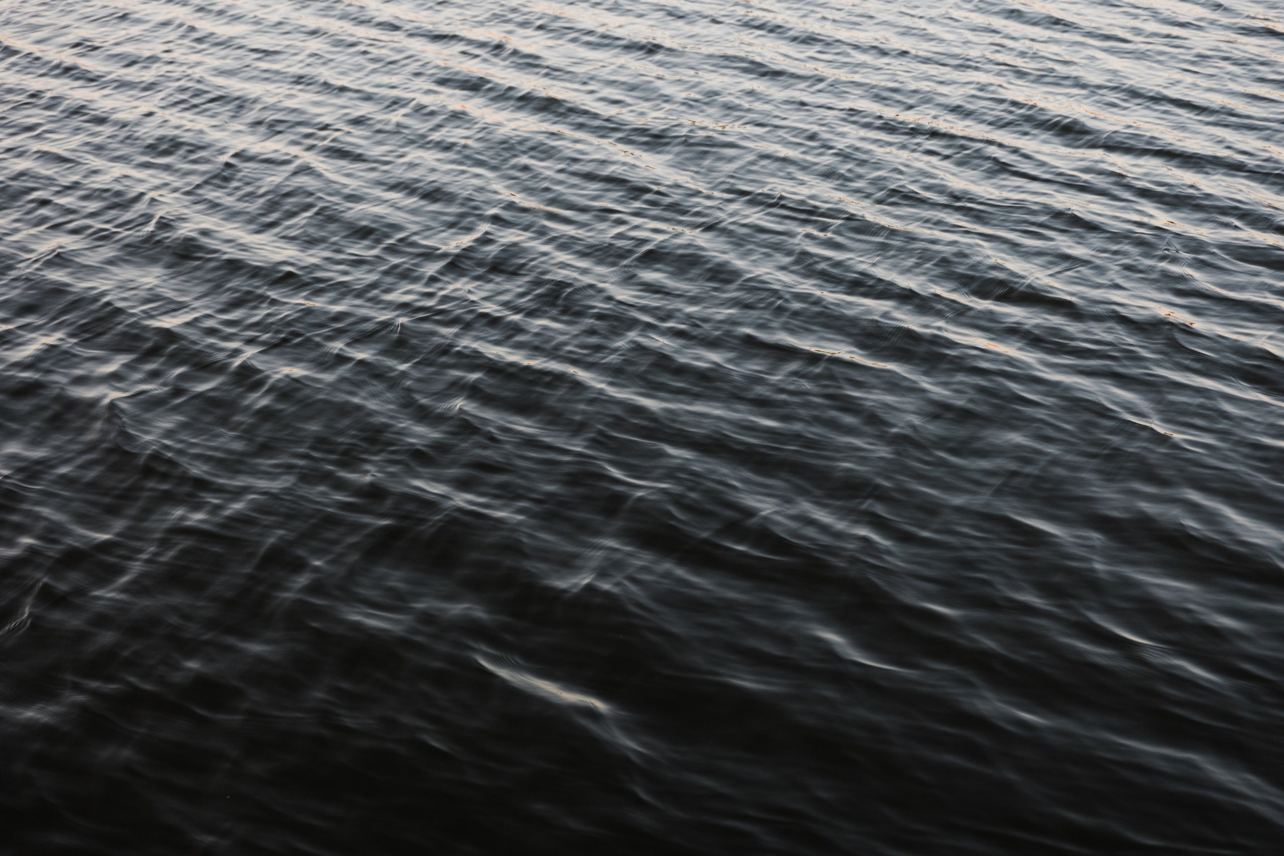 WED party A|K. Фотограф в Астрахани Радмир Баймухамедов