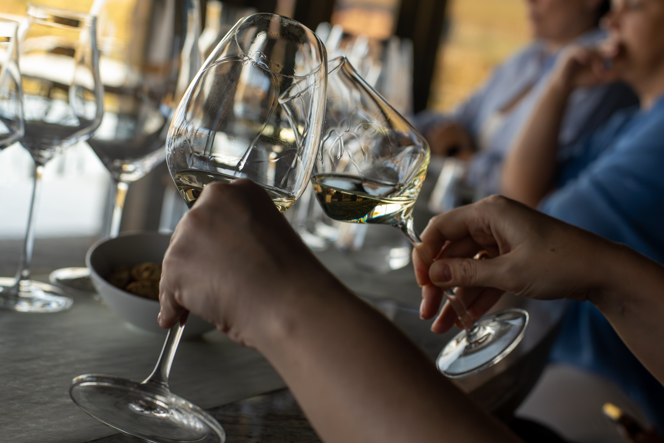 Литературная мастерская с Ольгой Шутовой в «Винотеррии». Репортажный фотограф в Красной Поляне и Сочи Павлюченко Екатерина