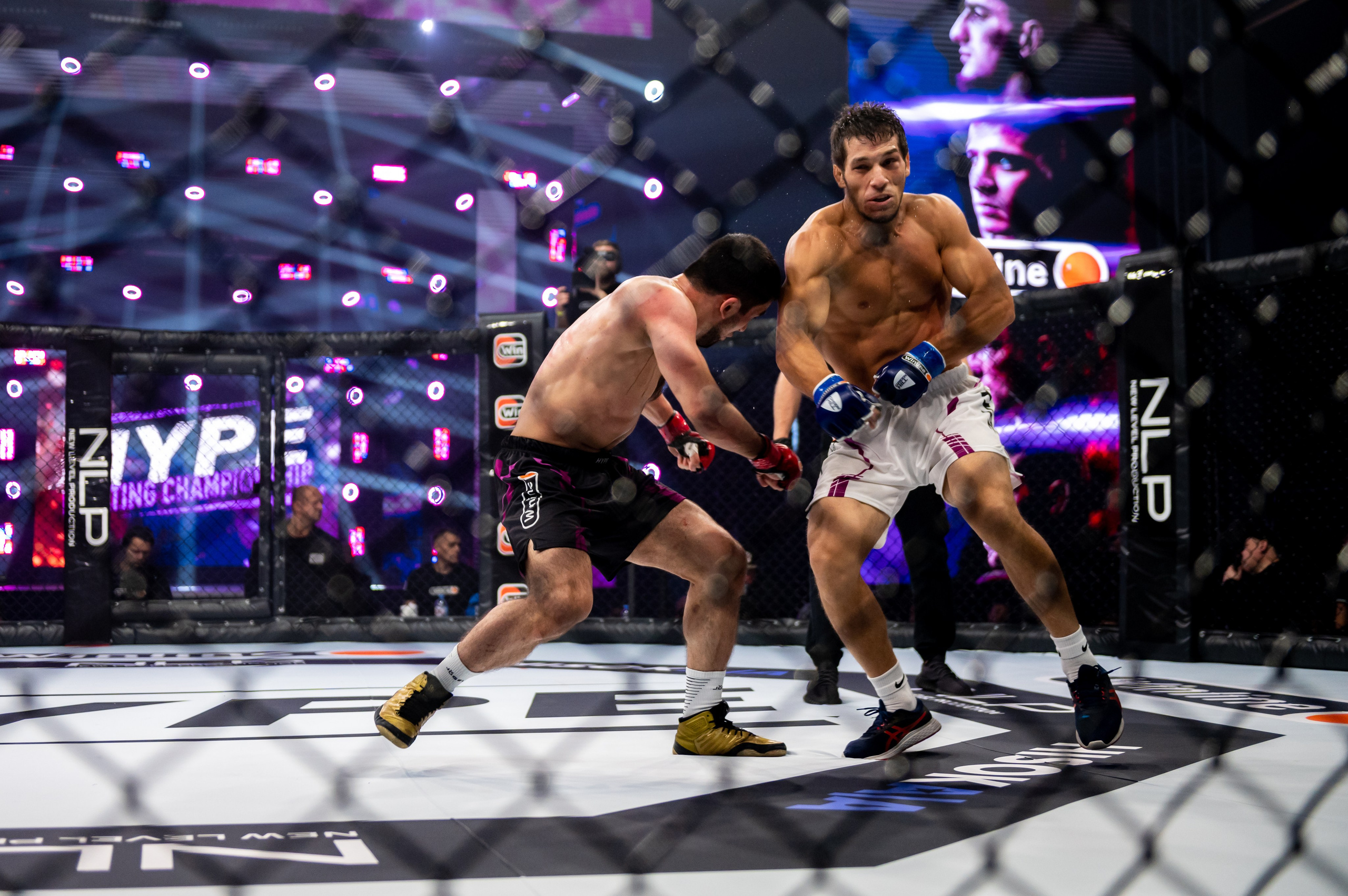 Бои. Репортажный фотограф в Красной Поляне и Сочи Павлюченко Екатерина