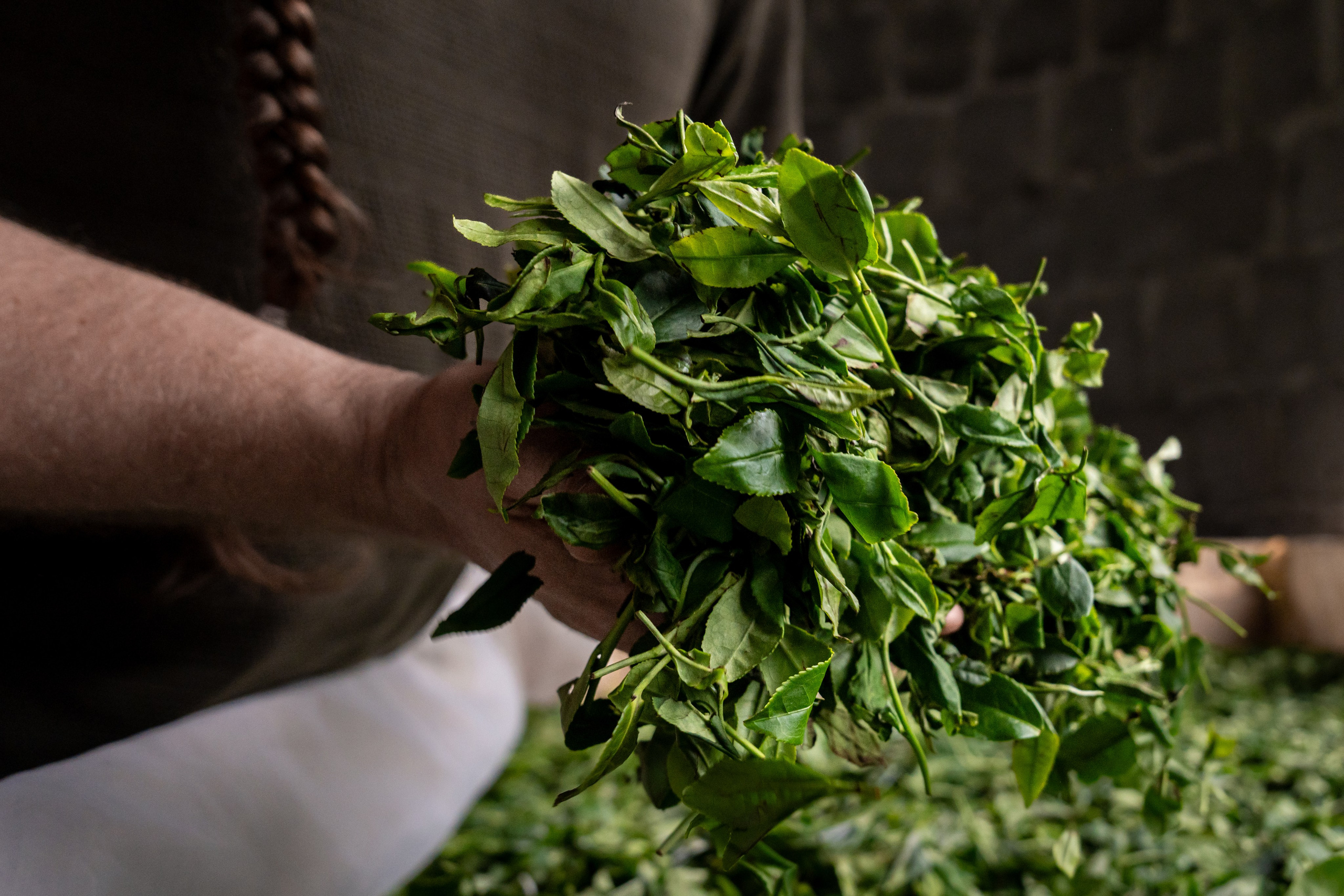 Яндекс.Еда — Сочинский чай. Репортажный фотограф в Красной Поляне и Сочи Павлюченко Екатерина