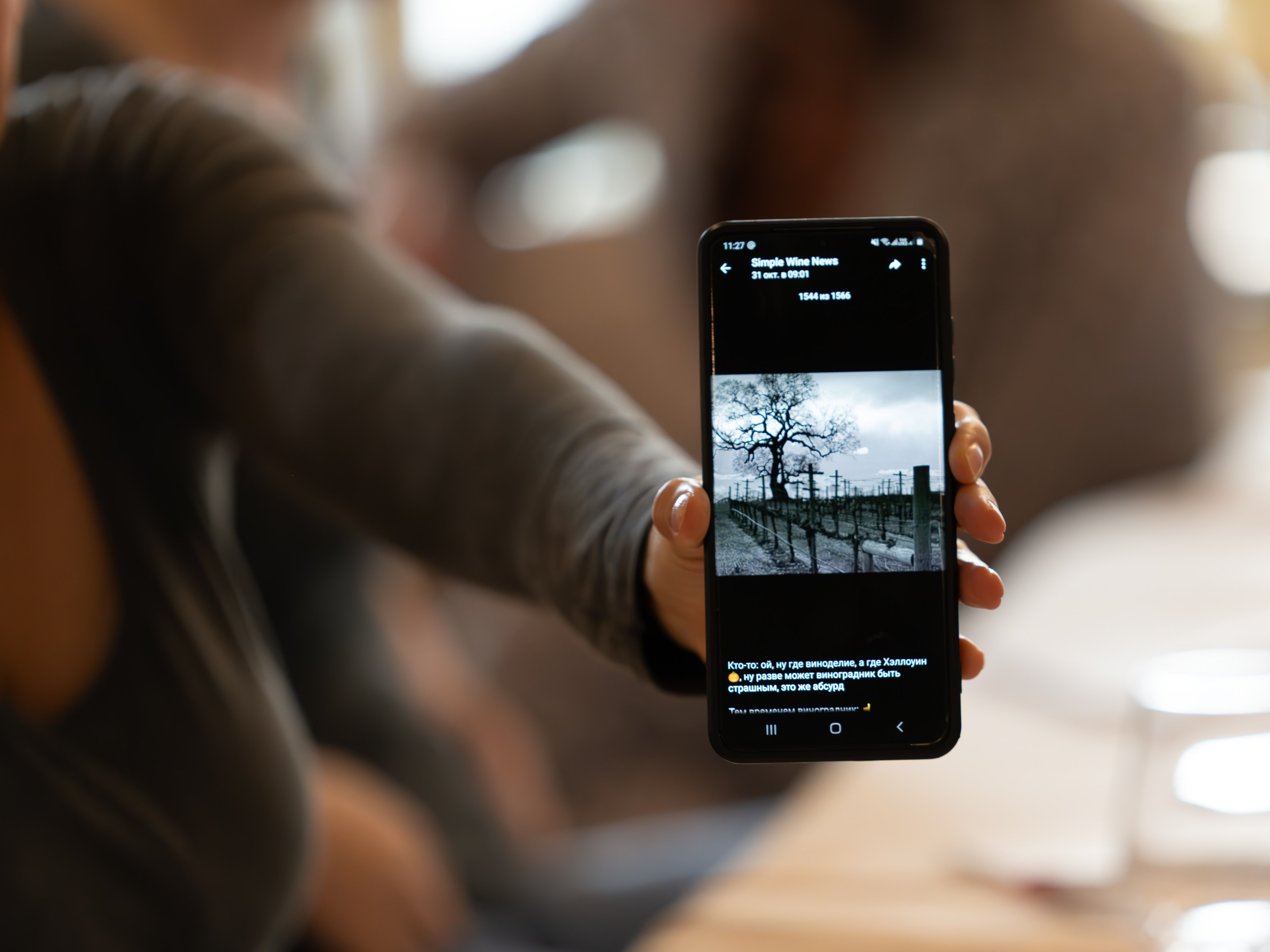 Литературная мастерская с Ольгой Шутовой в «Винотеррии». Репортажный фотограф в Красной Поляне и Сочи Павлюченко Екатерина
