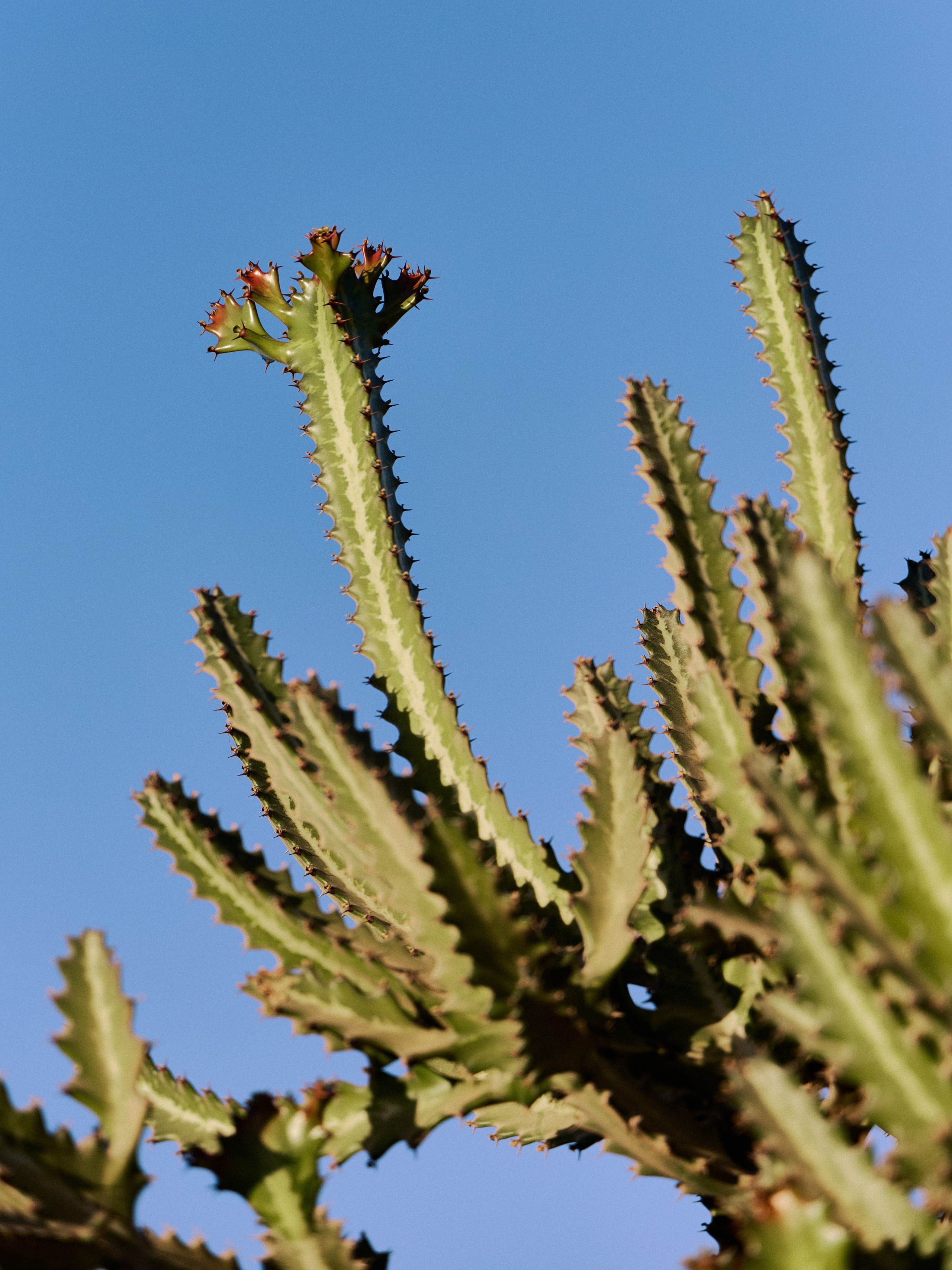 Другое 3. Jorgis — фотограф в Хургаде / обучение фотографии