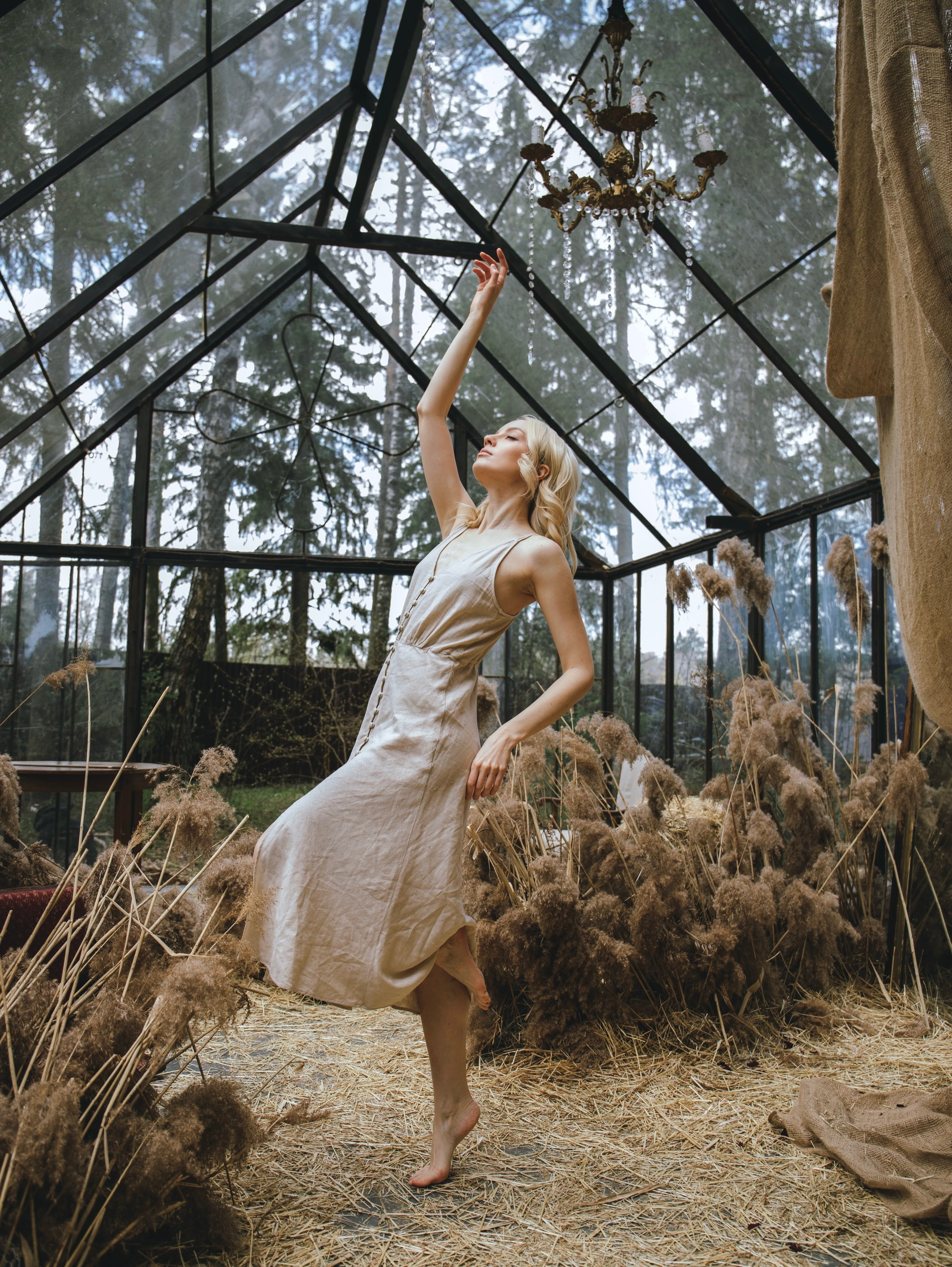 История со скрипкой. Свадебный и семейный фотограф в Москве Мила Широких