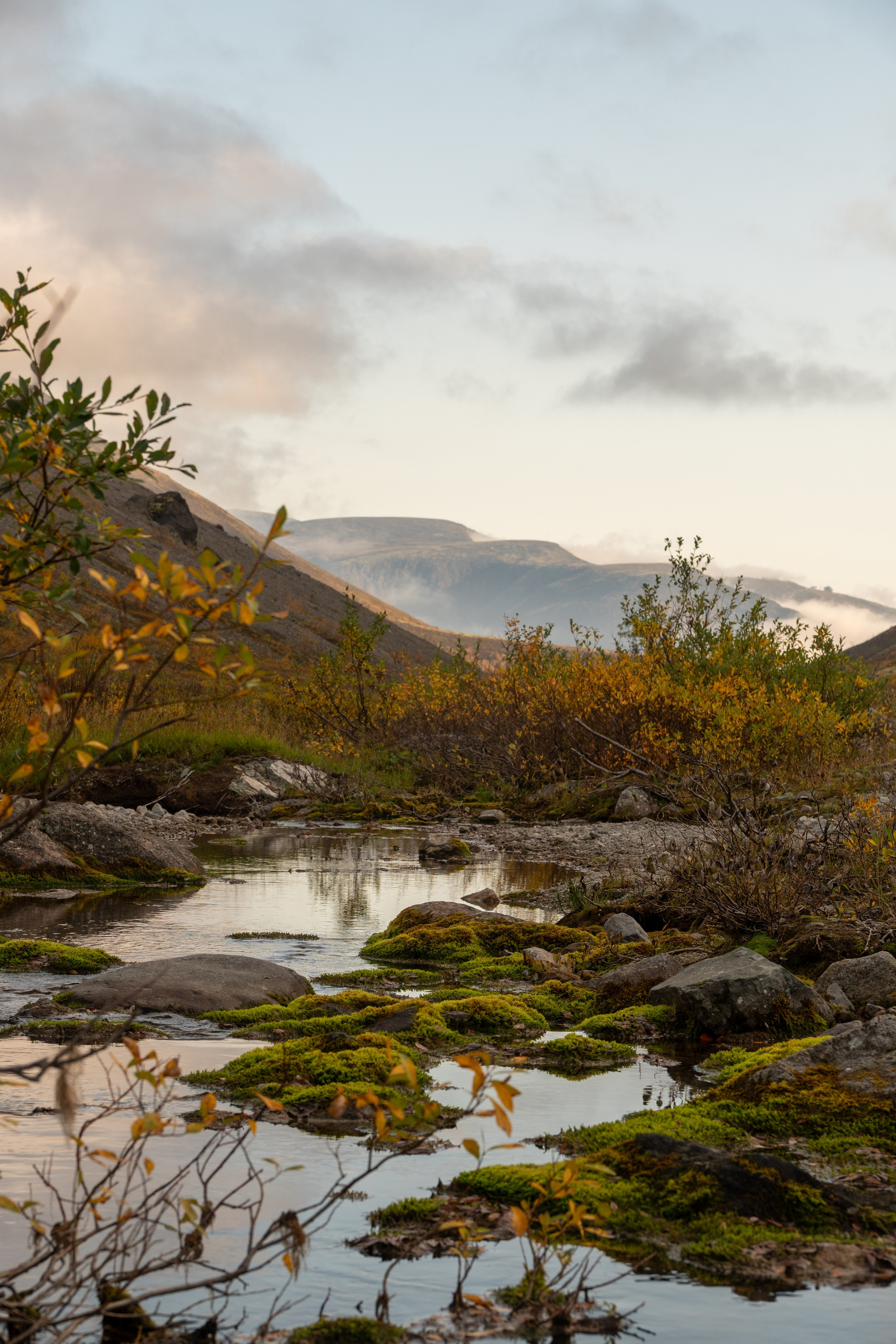 Золотая осень в Хибинах. Daria wanderer photography