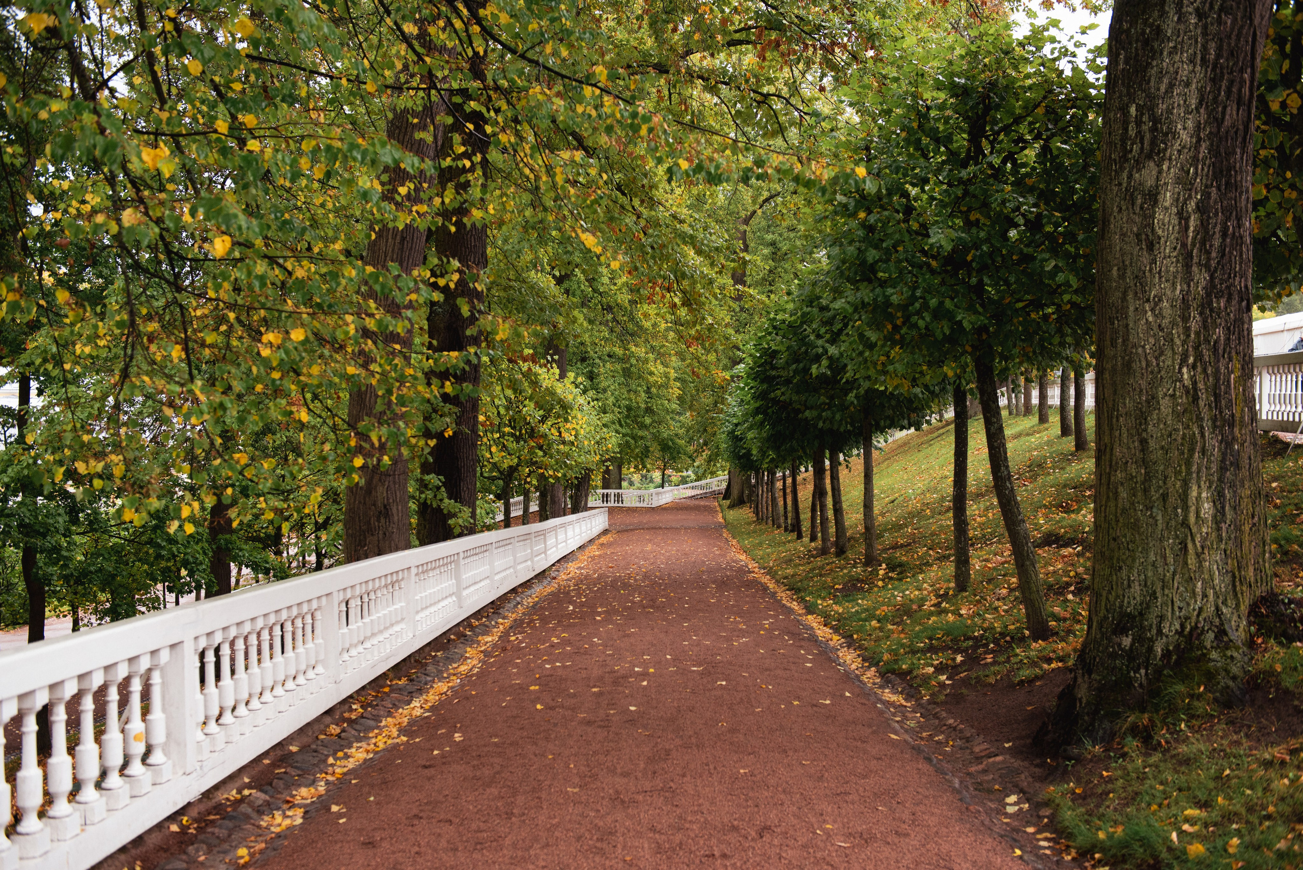 Петергоф. Портретный и архитектурный фотограф в Москве и Санкт-Петербурге