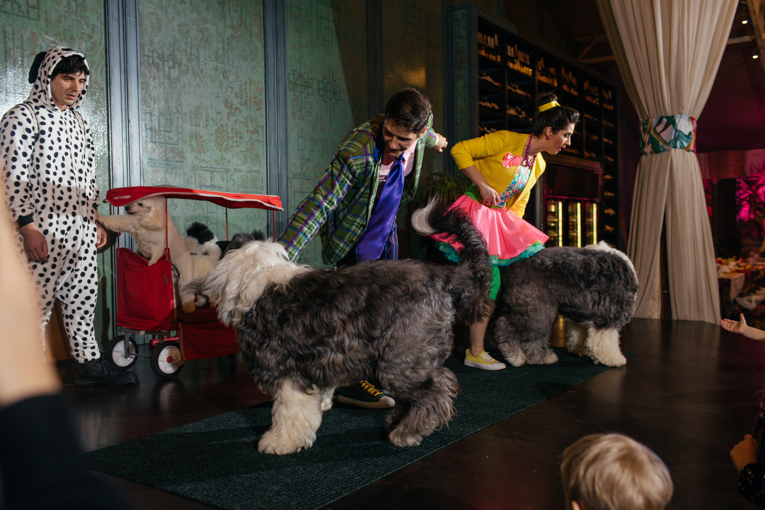 Алине 7 лет. Свадебный и семейный фотограф