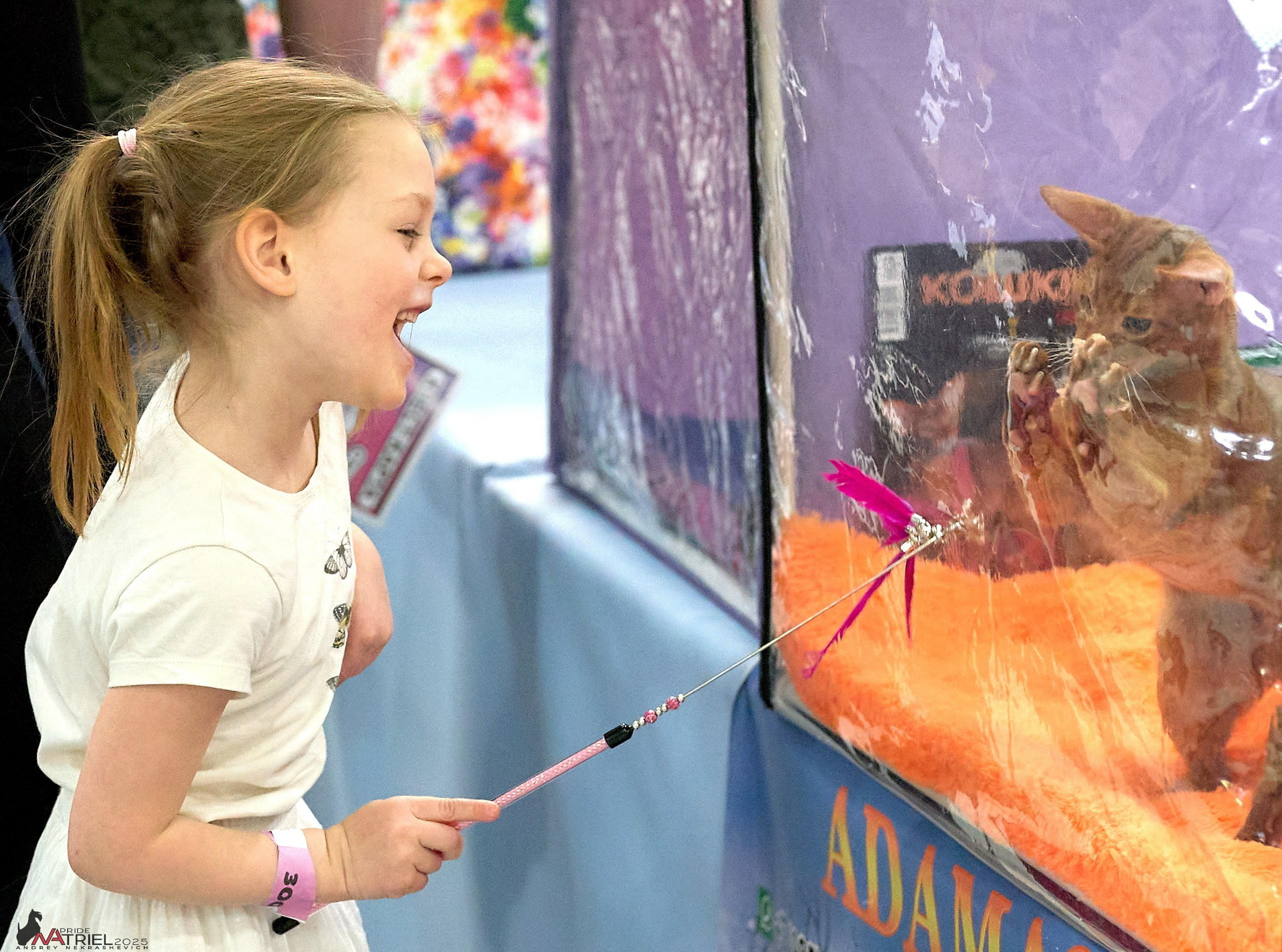 Репортаж с ЗООФЕСТ в Крокусе