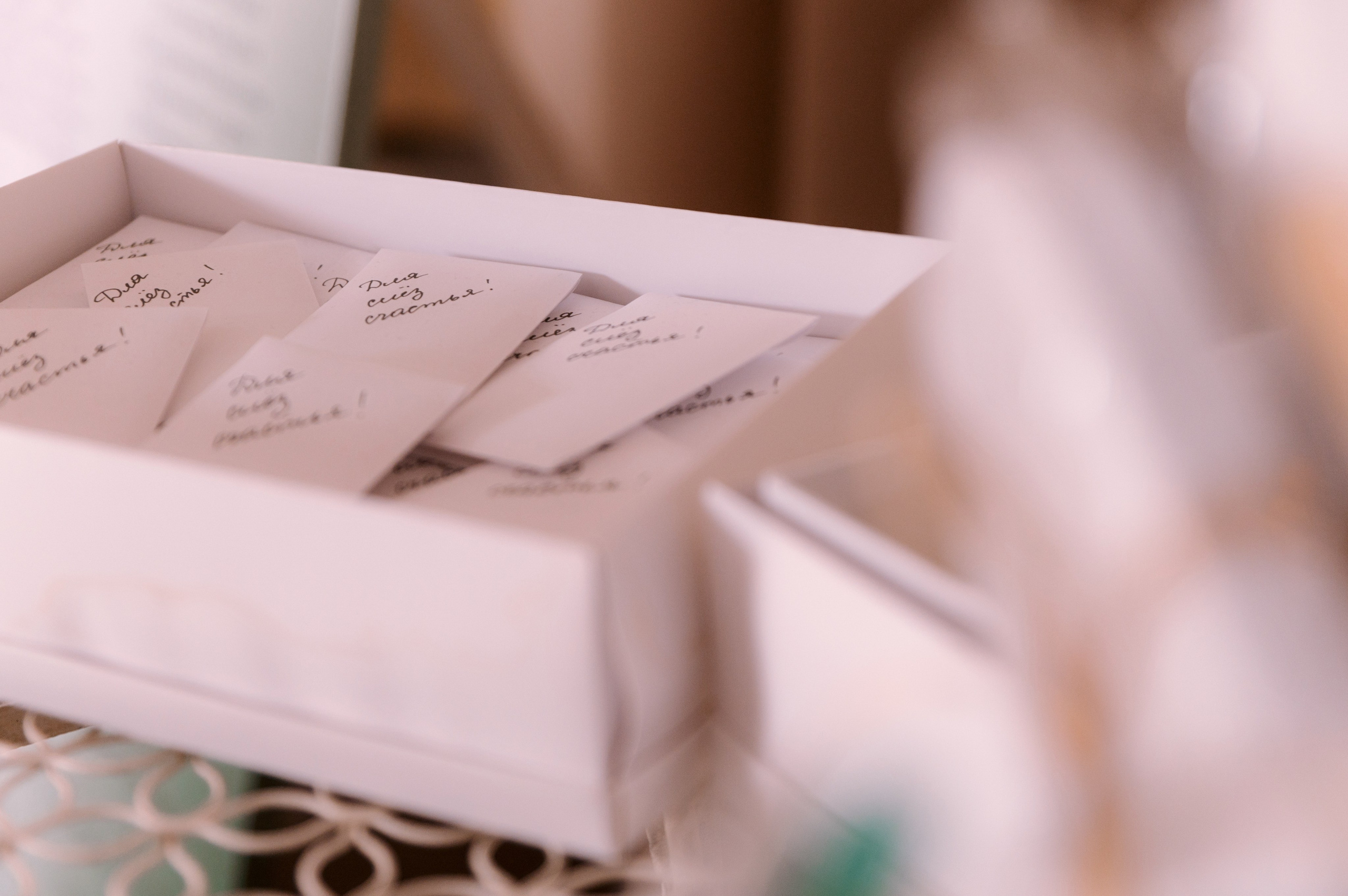 Дмитрий + Диана. Свадебный фотограф в Тамбове Валерий Тихов