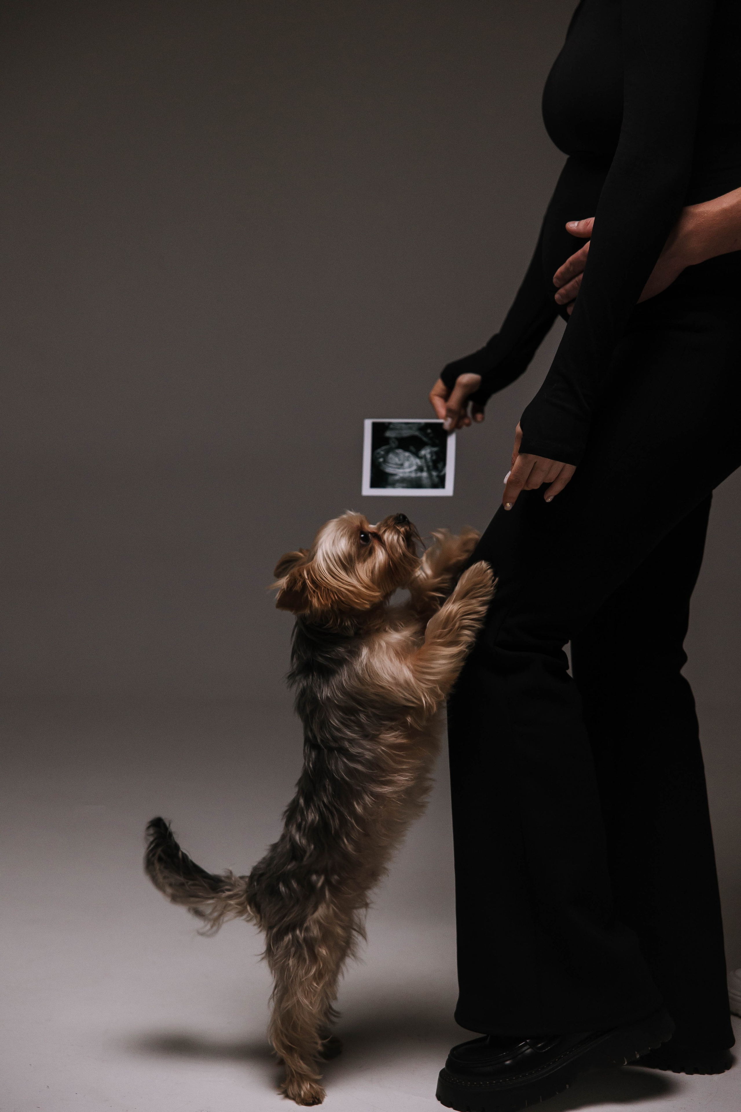 Ефим и Даша. Главная