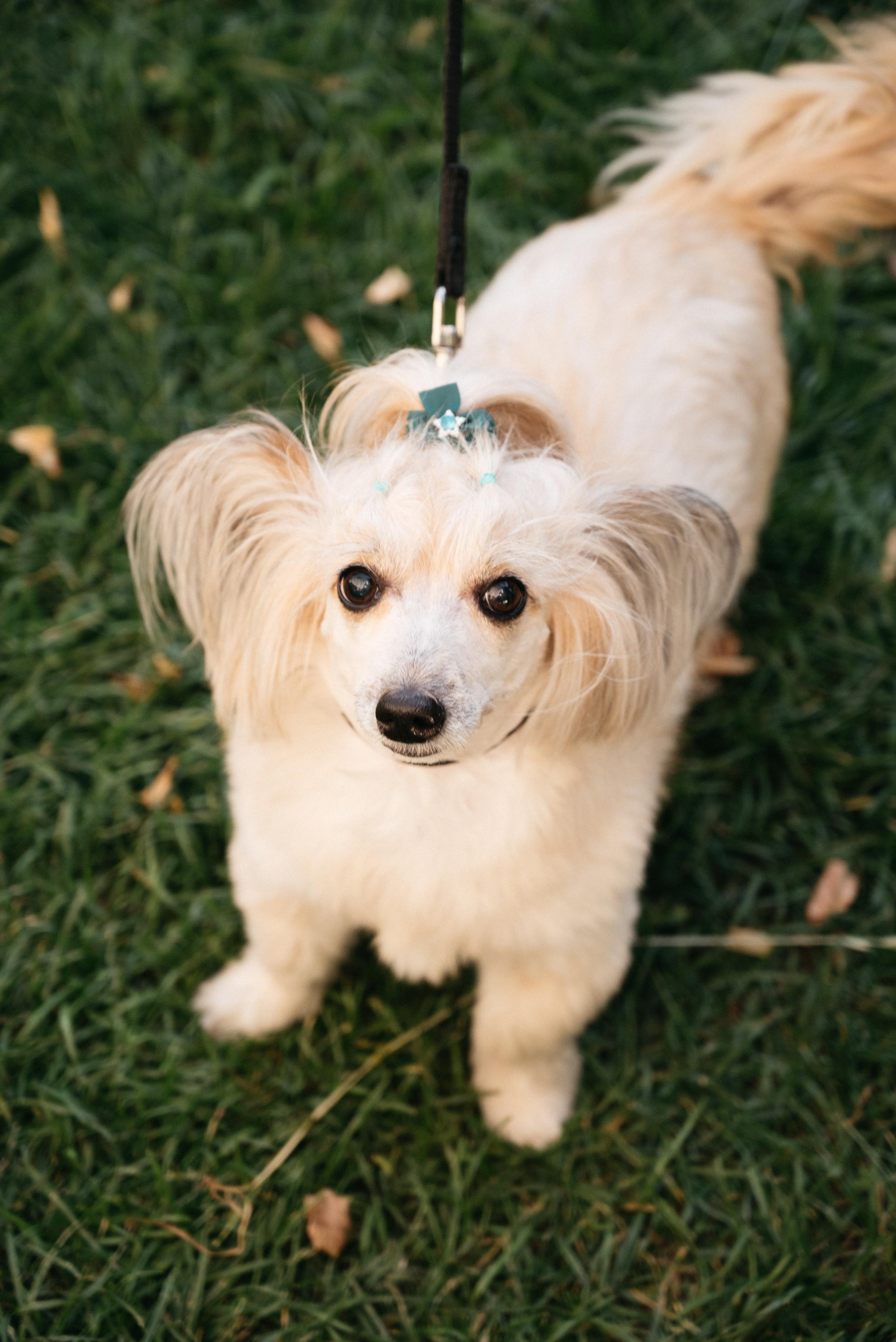 Елена & Сергей. Свадебный фотограф Ижевск Петр Шишков