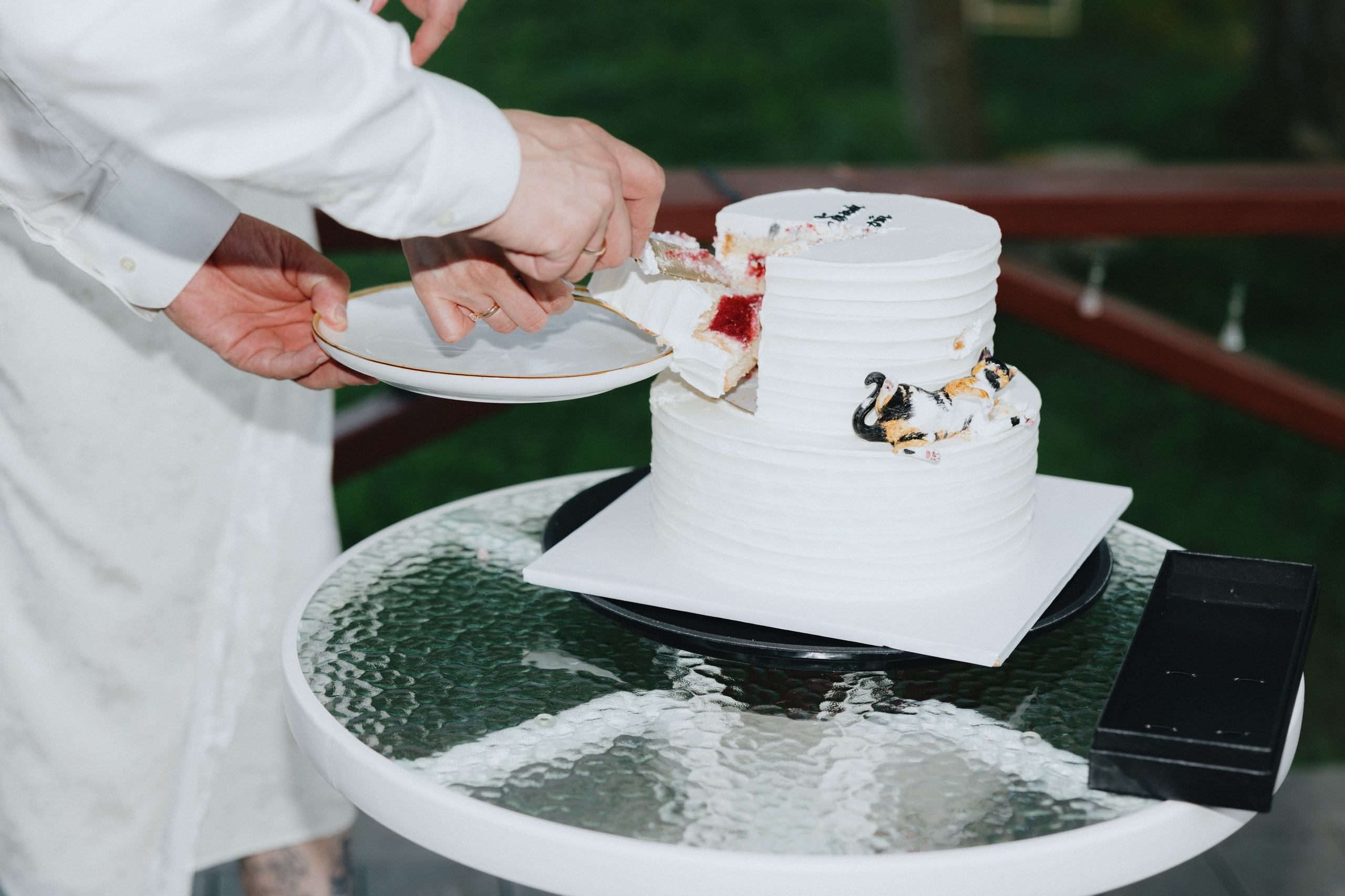 Эко вечеринка / 2025. Фотограф СПб