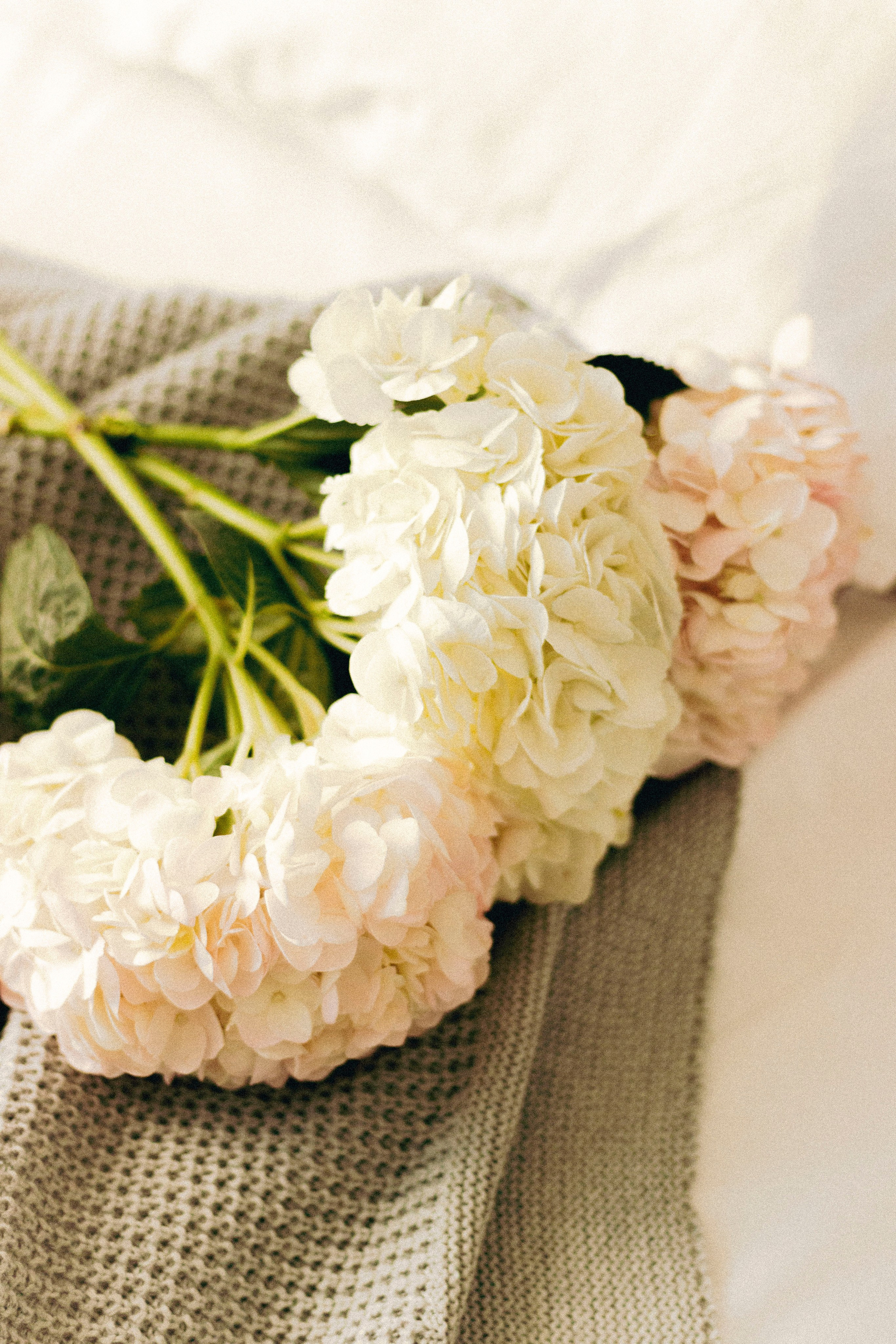 N&Y. Фотограф Димитровград Казань Валерия Владимиркина