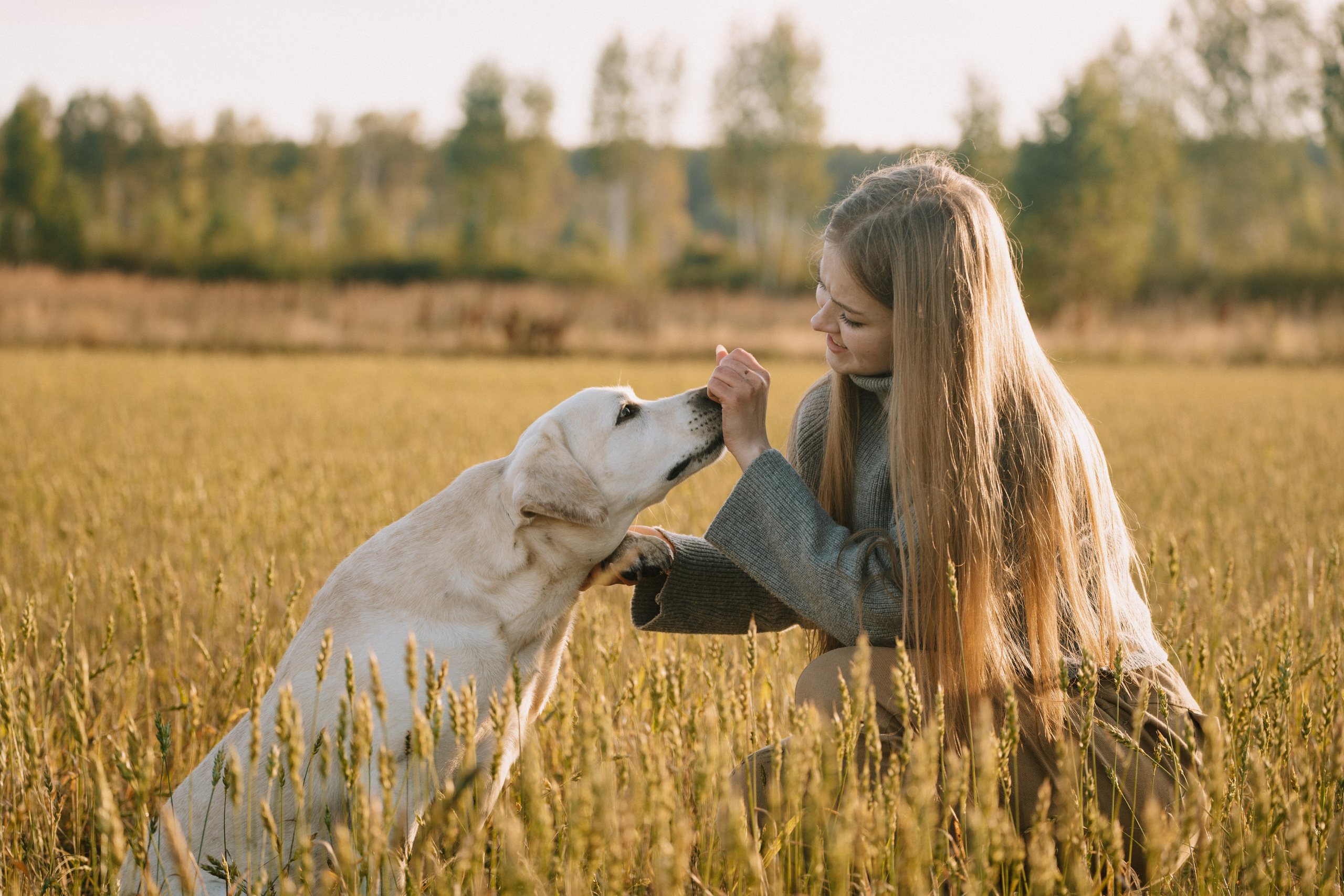 Дана и Арчи. Фотограф-анималист Анастасия Большакова