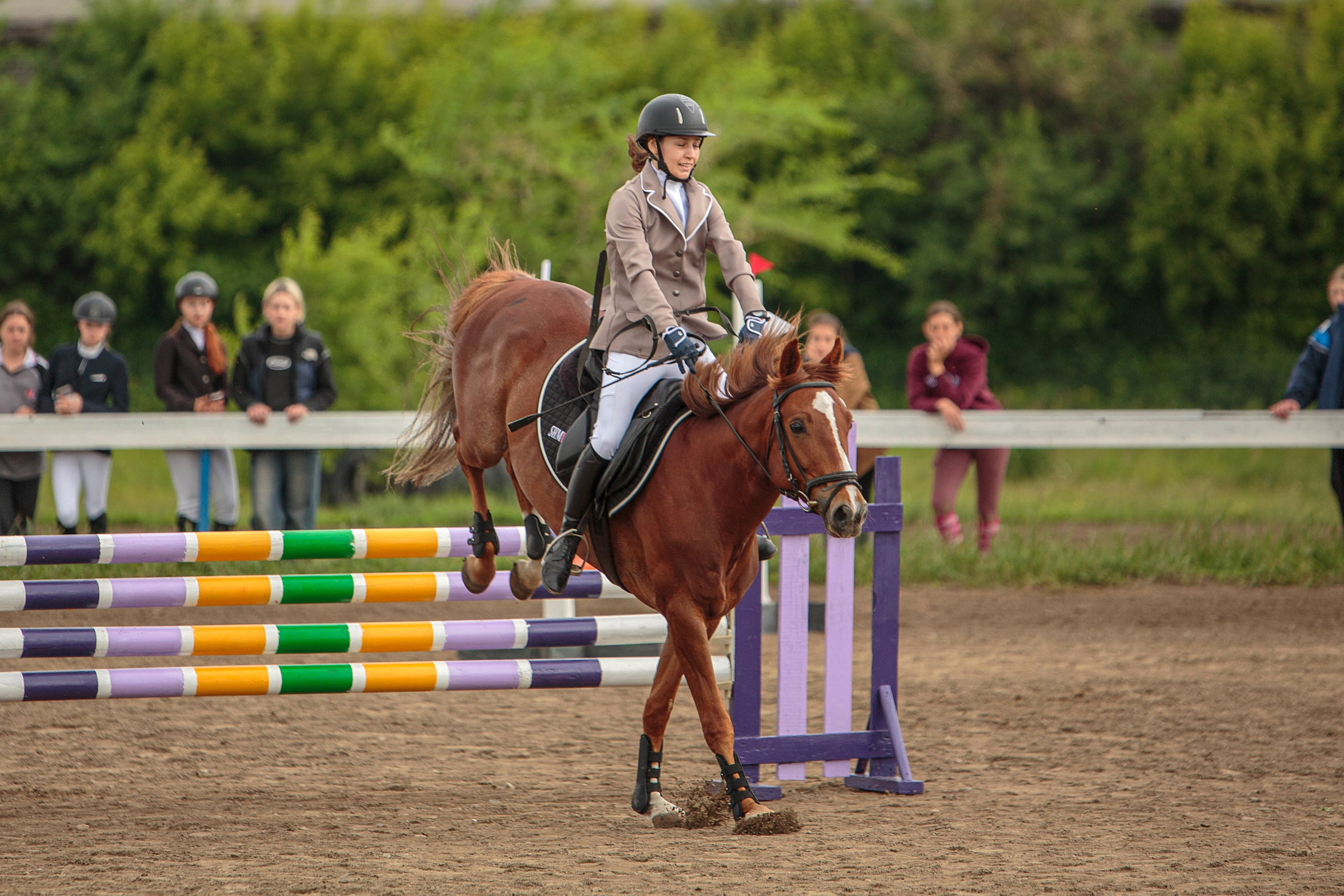 2024. Конный фотограф в Красноярске — Любовь Похабова