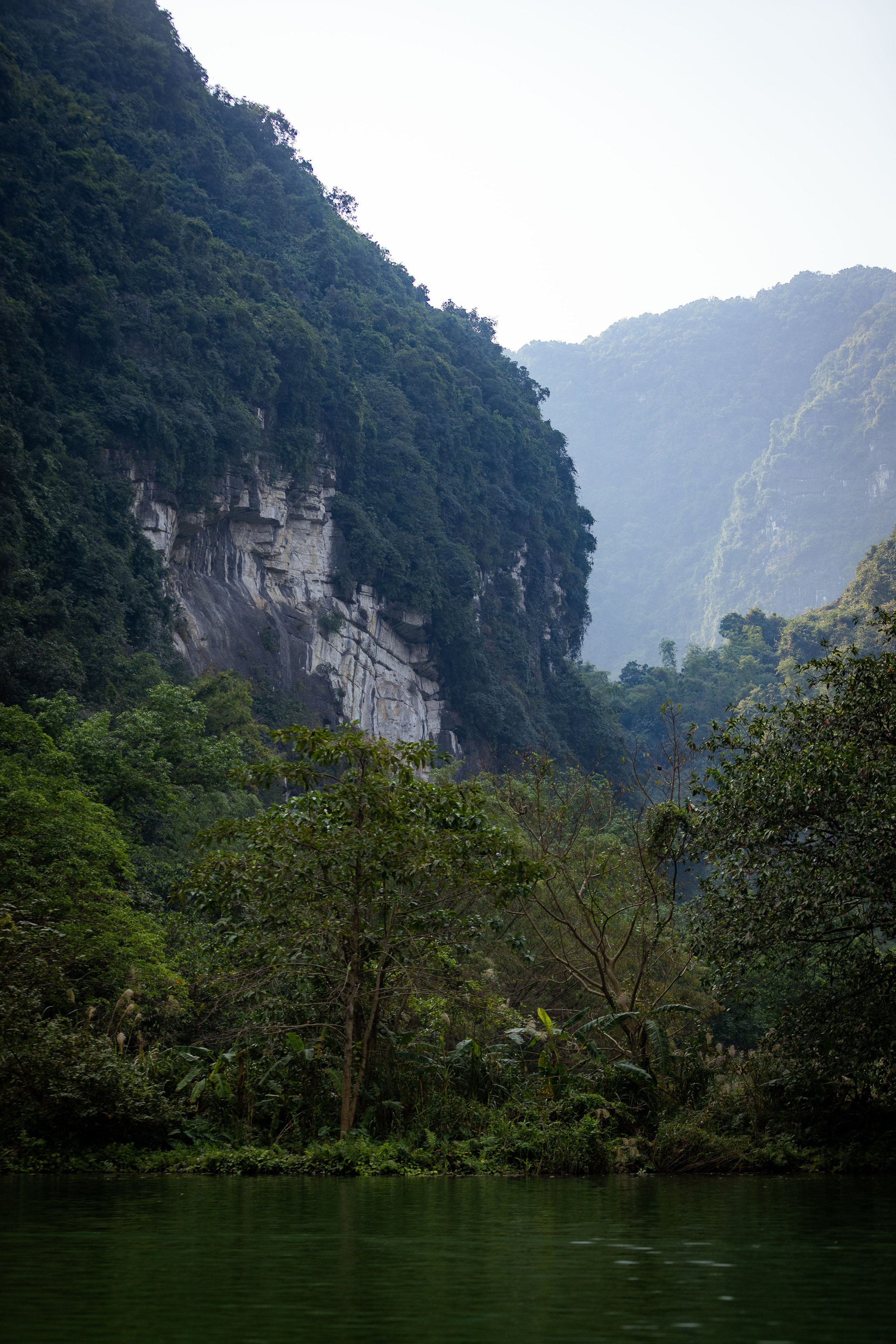 Вьетнам (зима 2025-2026). Фотограф Виноградов Константин