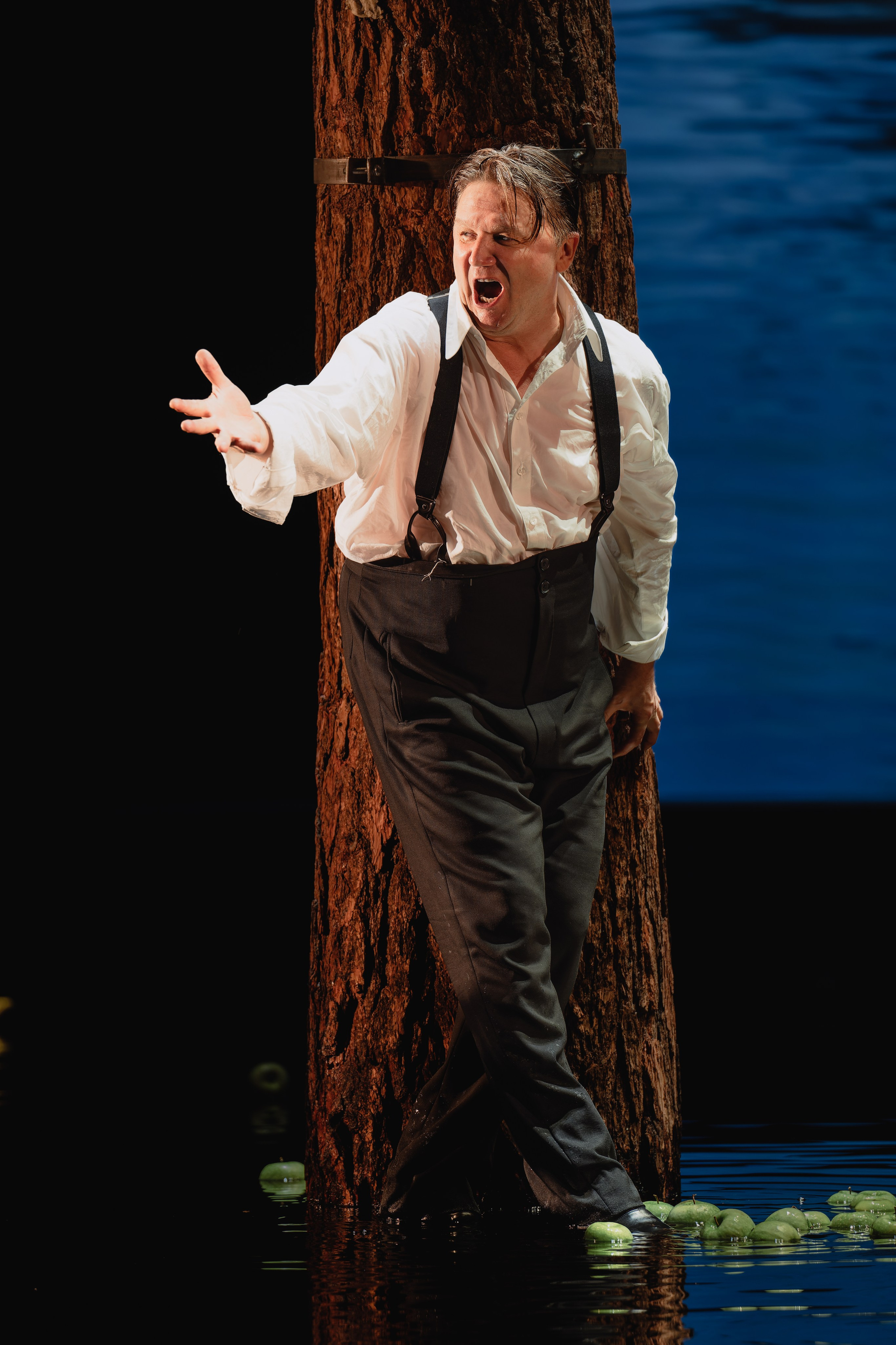 Театр Маяковского: Лес. Сайт фотографа Сергея Абрамова