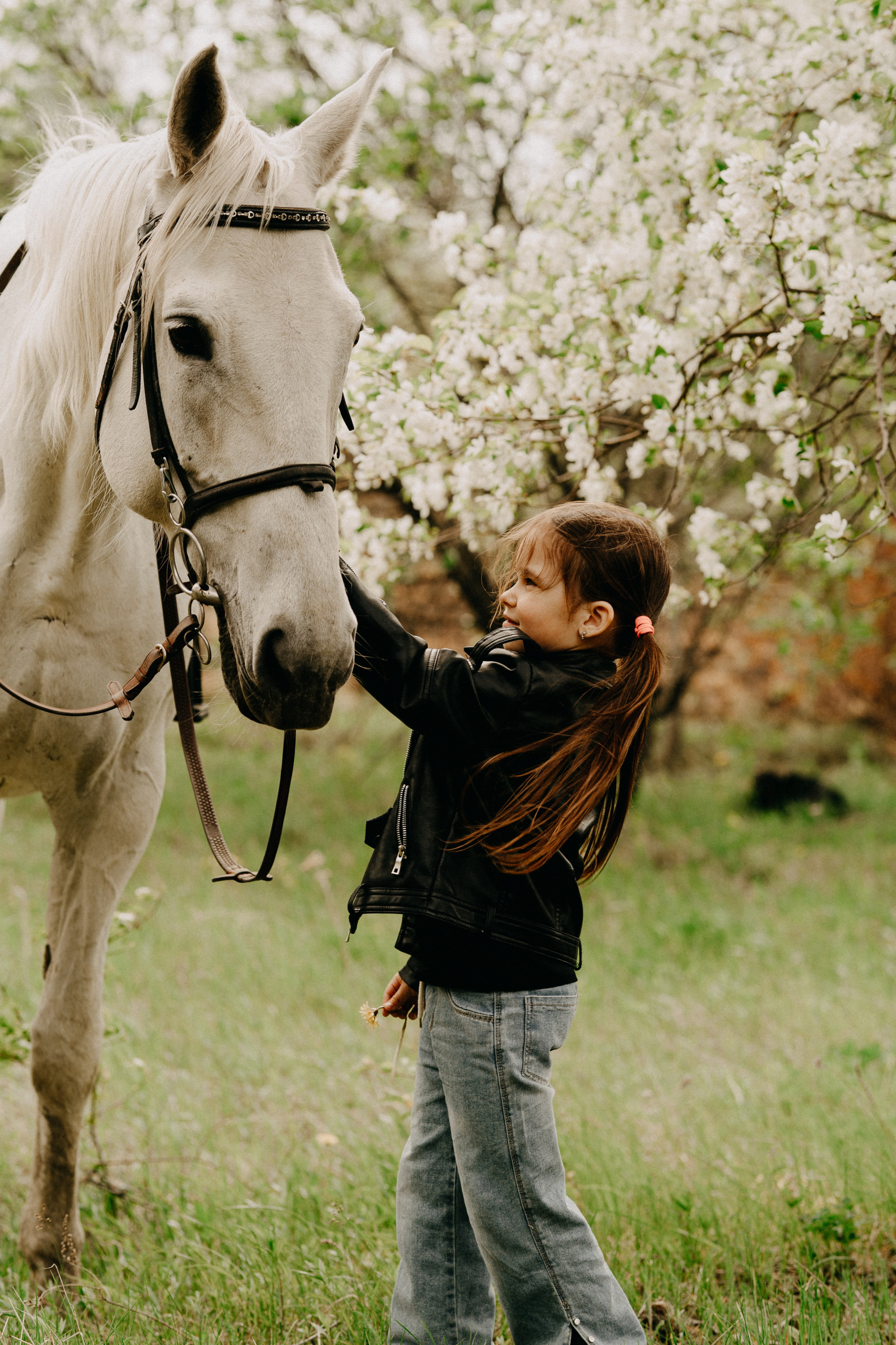 С лошадьми. Главная