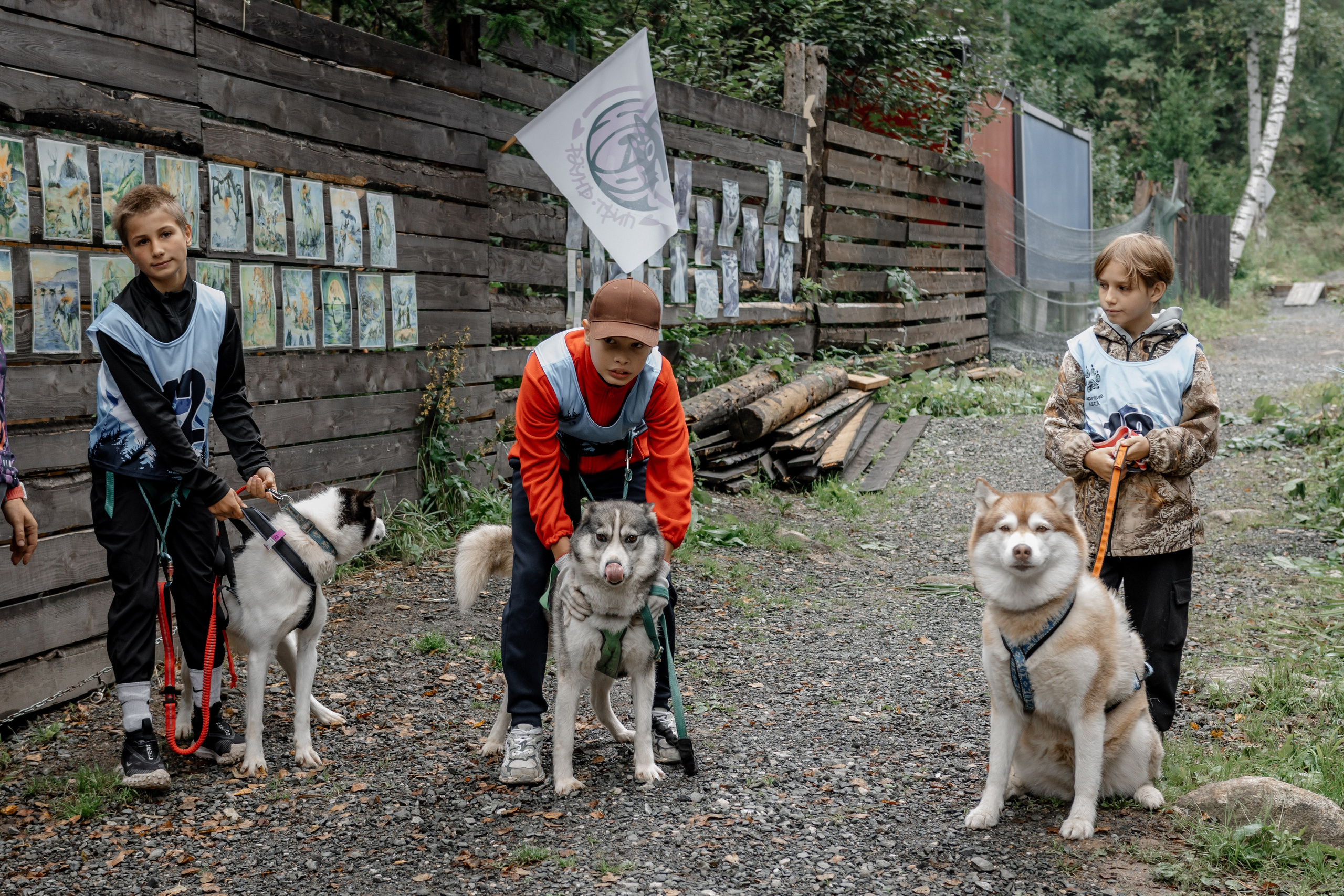 Дог-треккинг
