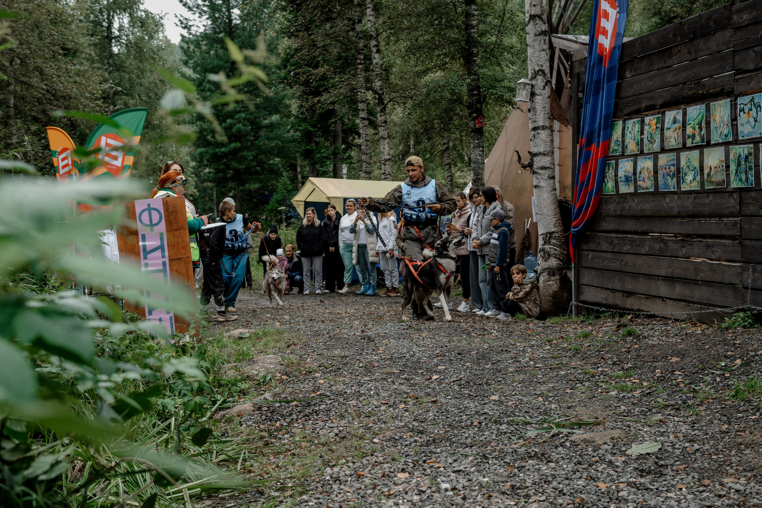 Дог-треккинг