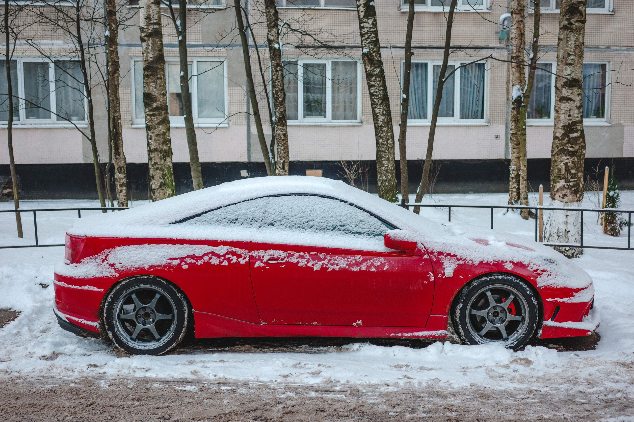2023.11. Фотограф Алексей Алексеев