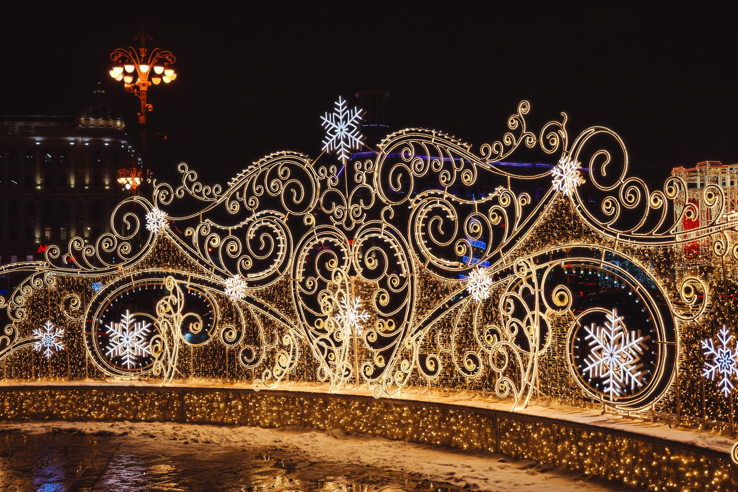 2023.12. Фотограф Алексей Алексеев