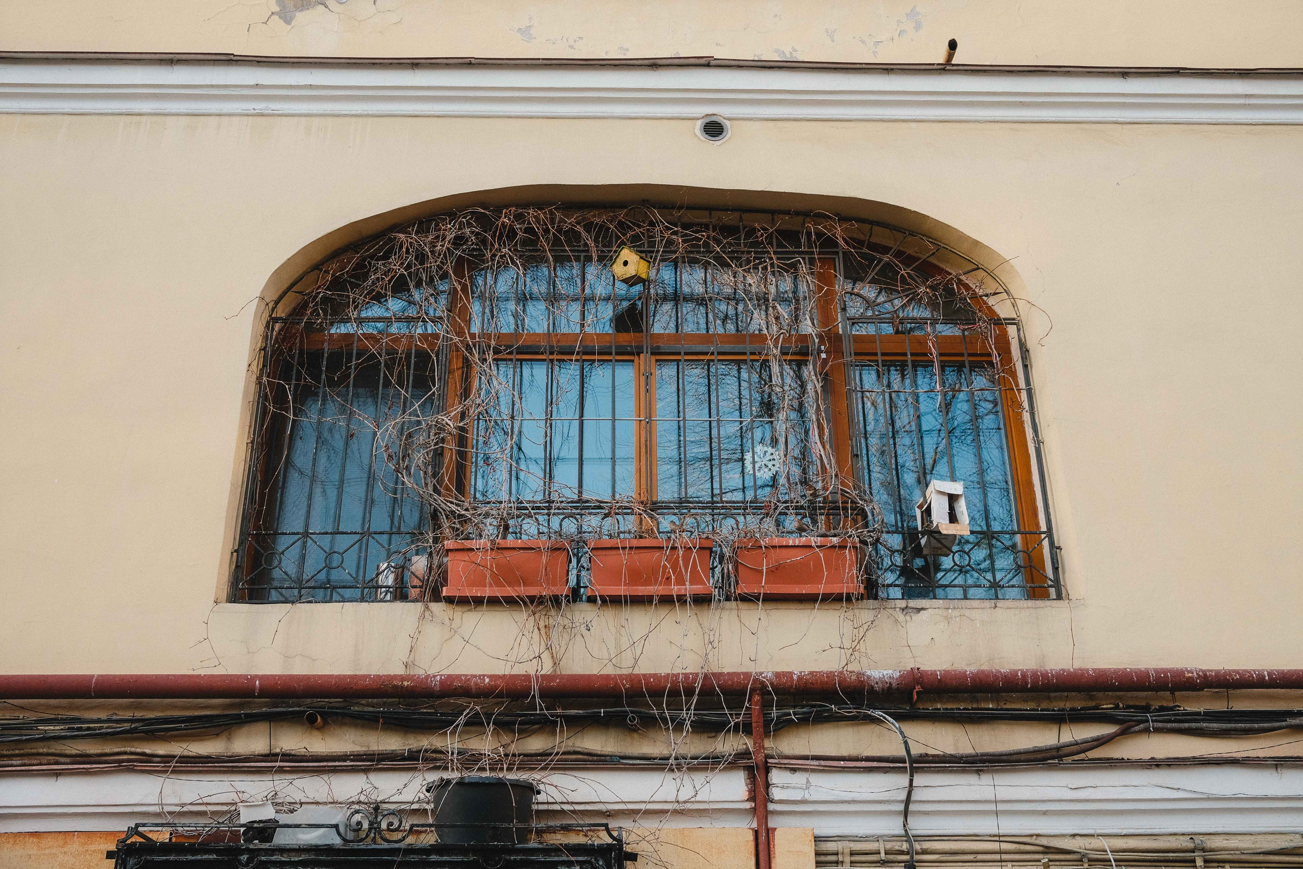 2023.04. Фотограф Алексей Алексеев