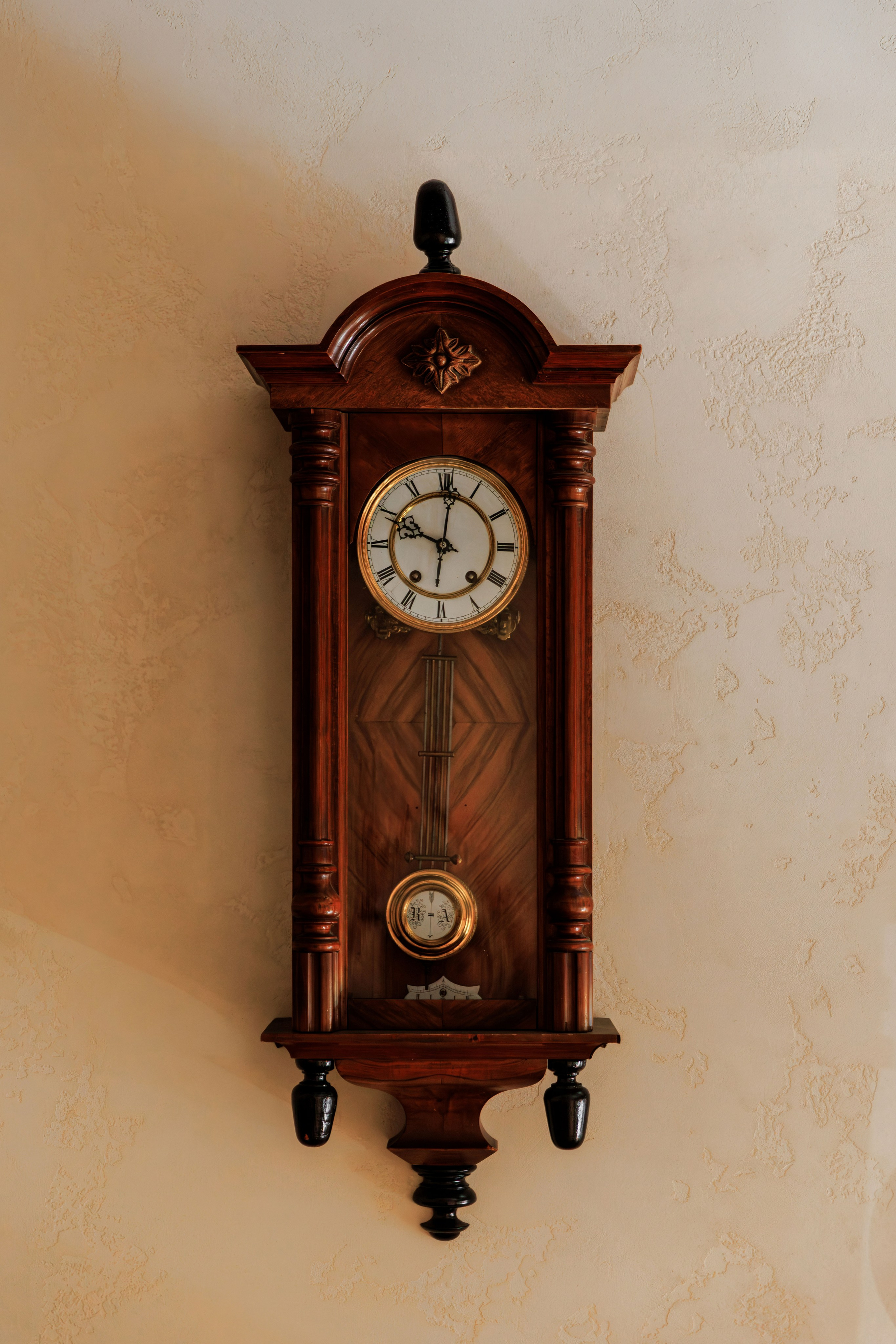 Медведь. Репортажный фотограф в Санкт-Петербурге Жолудев Владислав