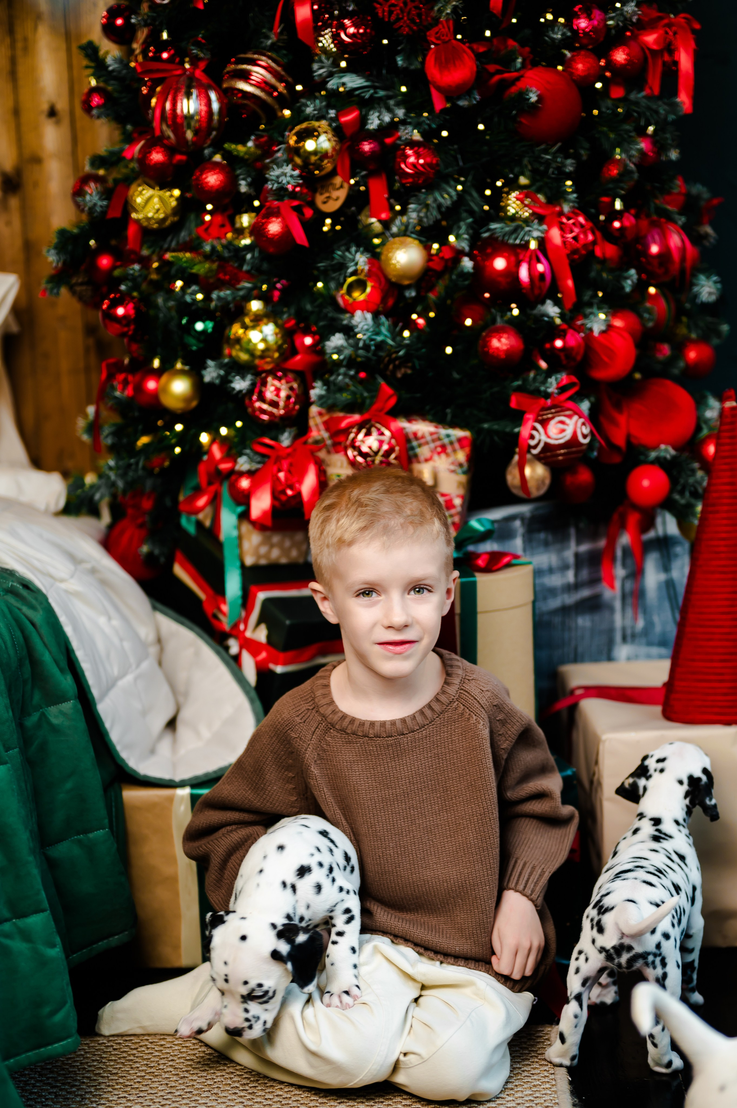 Фотосессия с далматинцами. Свадебный и семейный фотограф Евгения Кононова