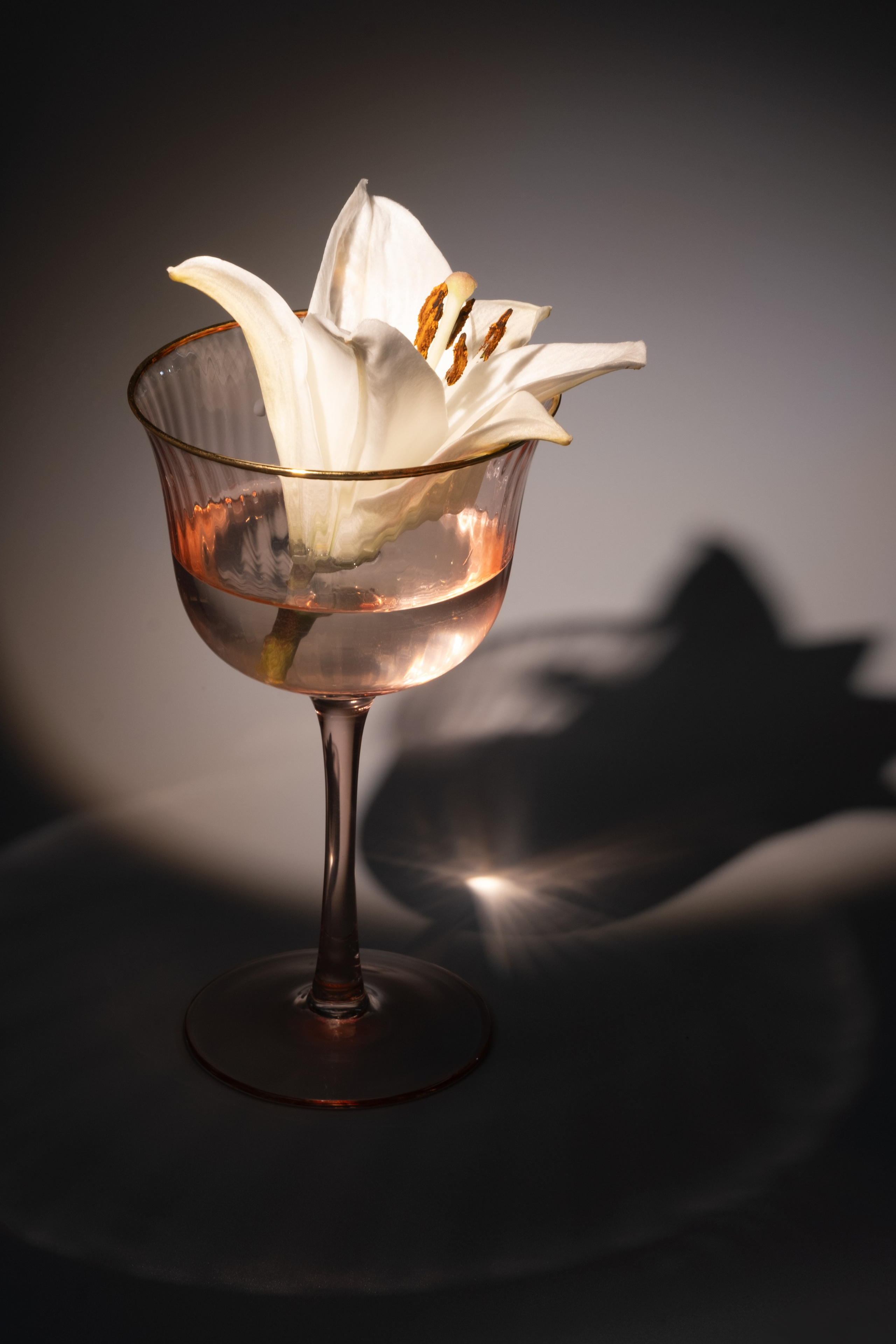 Лилия в фужере. Фотограф Коробова Екатерина