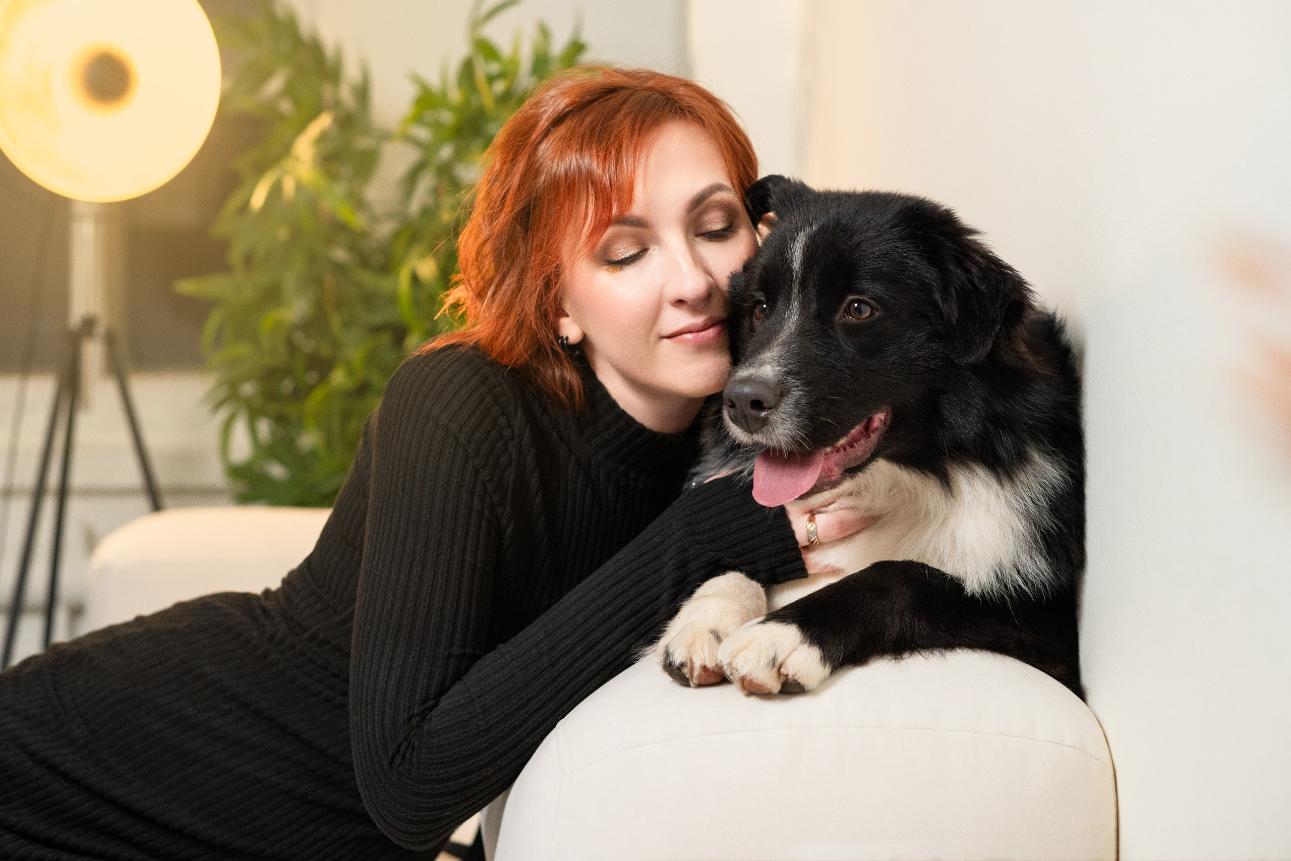 Фотодень с Австралийской овчаркой. Творческий фотограф Вологда