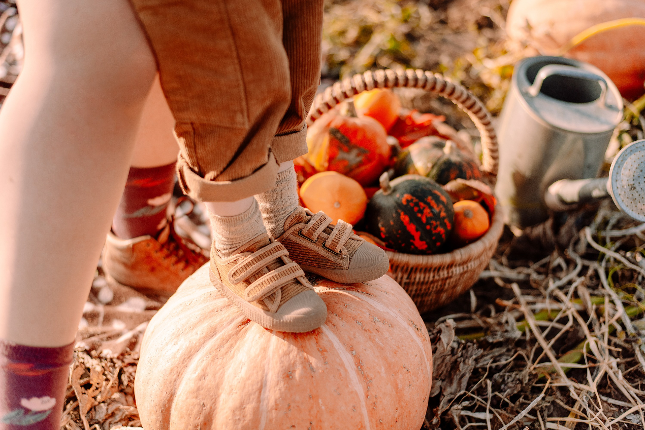 Pumpkin. Семейный и свадебный фотограф в Рязани Лиза Голованова