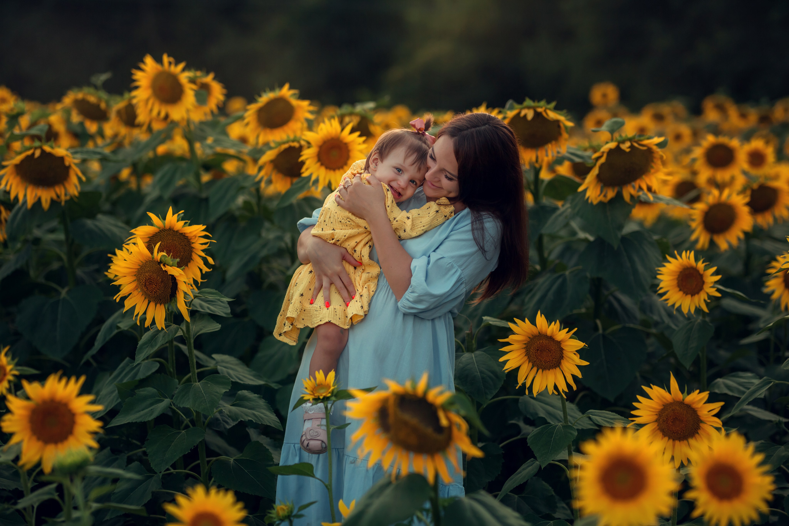 Подсолнухи. Семейный и детский фотограф Екатерина Савёлова