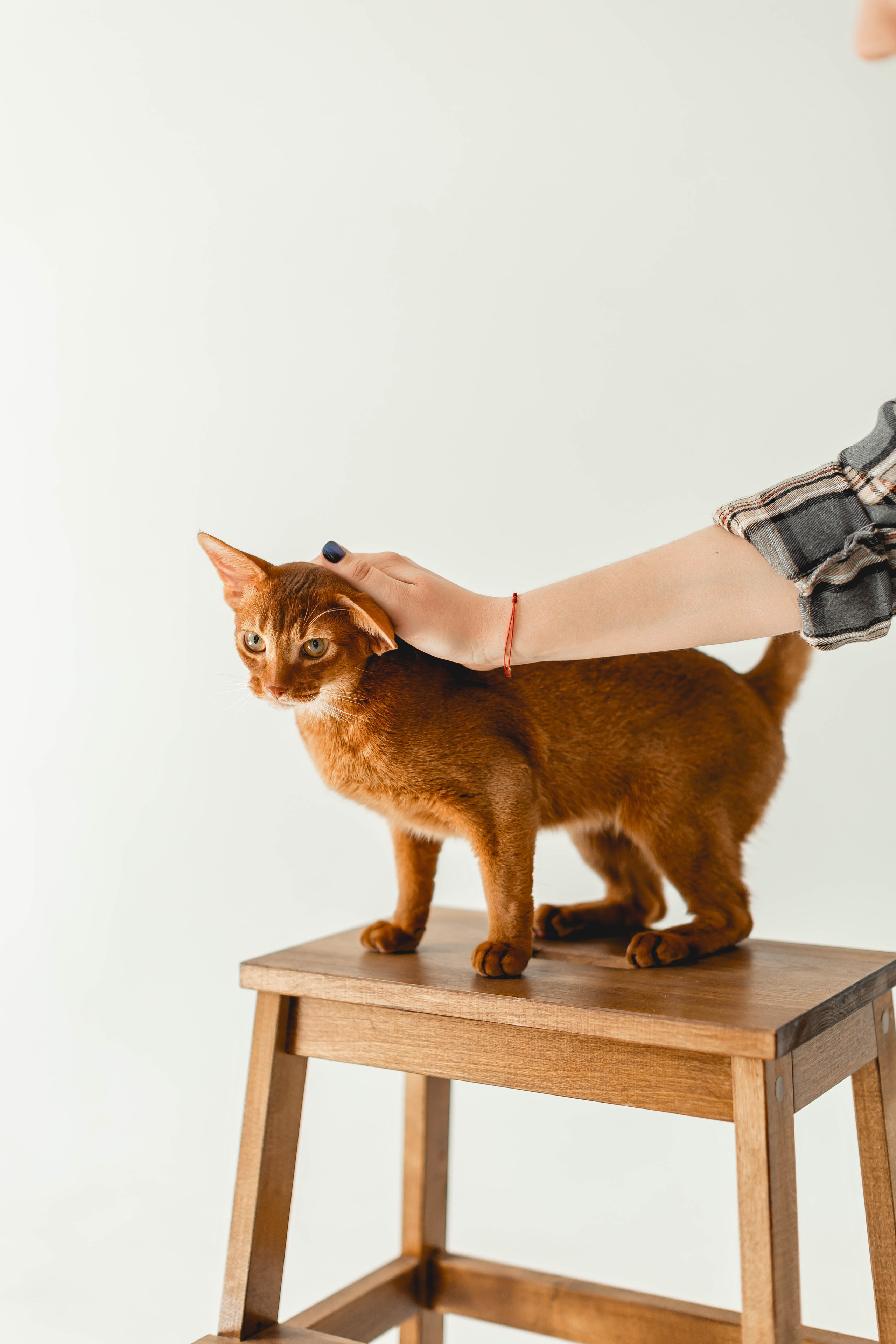 Victoriya. Главная