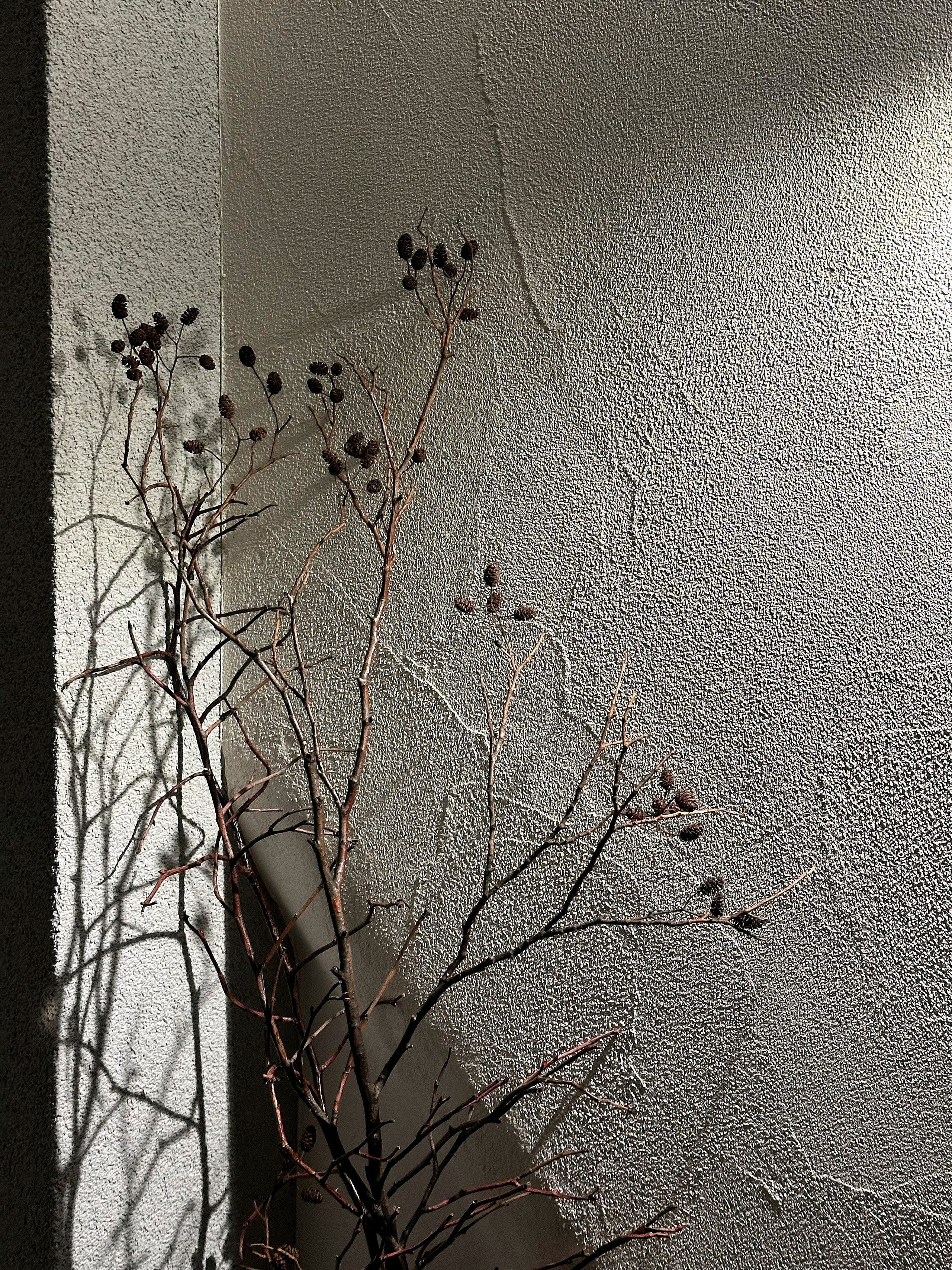 Квартира Ниша. SOLOMAKHINA| САЛОН ДЕКОРАТИВНЫХ ПОКРЫТИЙ|