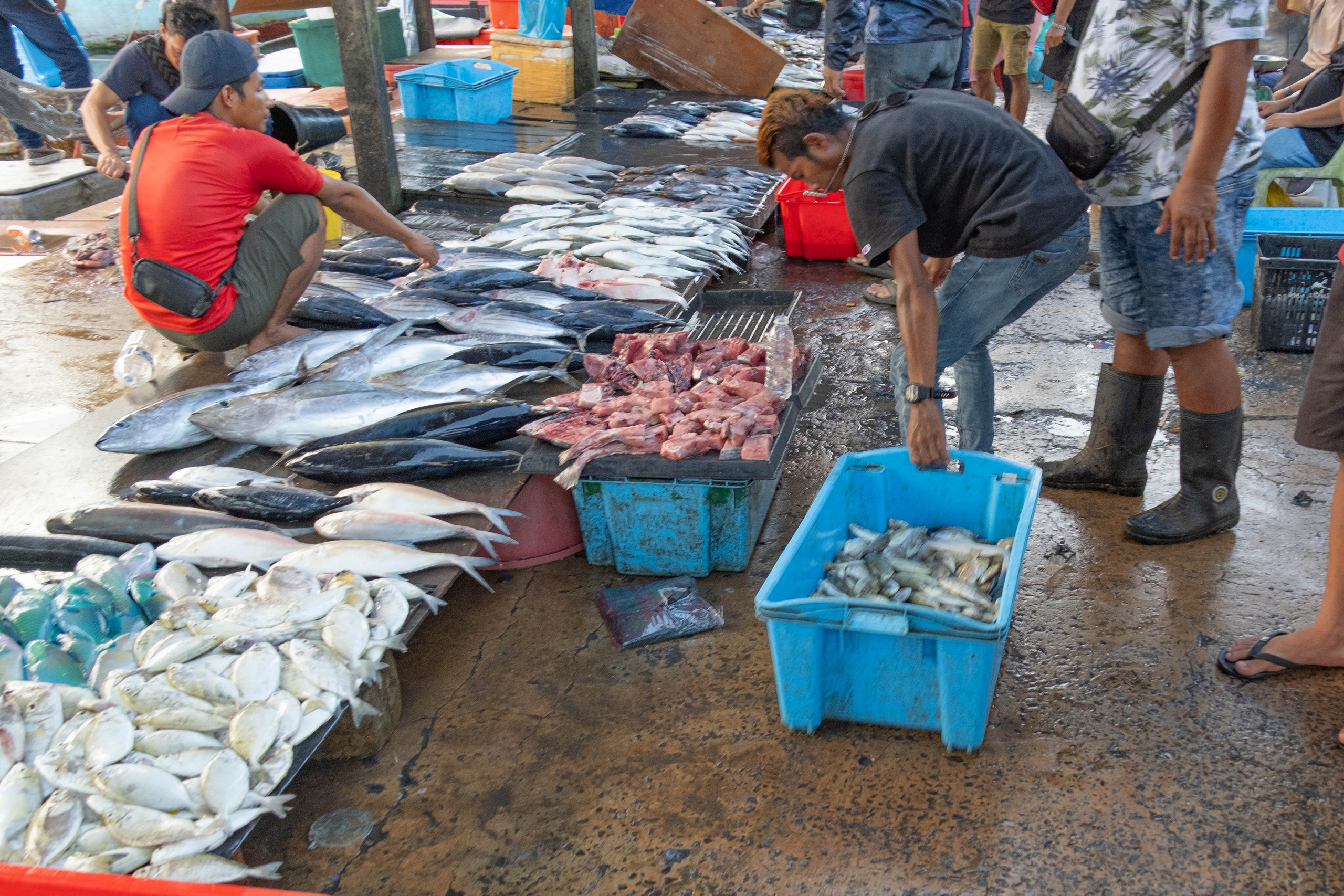 Остров Борнео, город Семпорна. Причал и рынок. Фотографии из путешествий