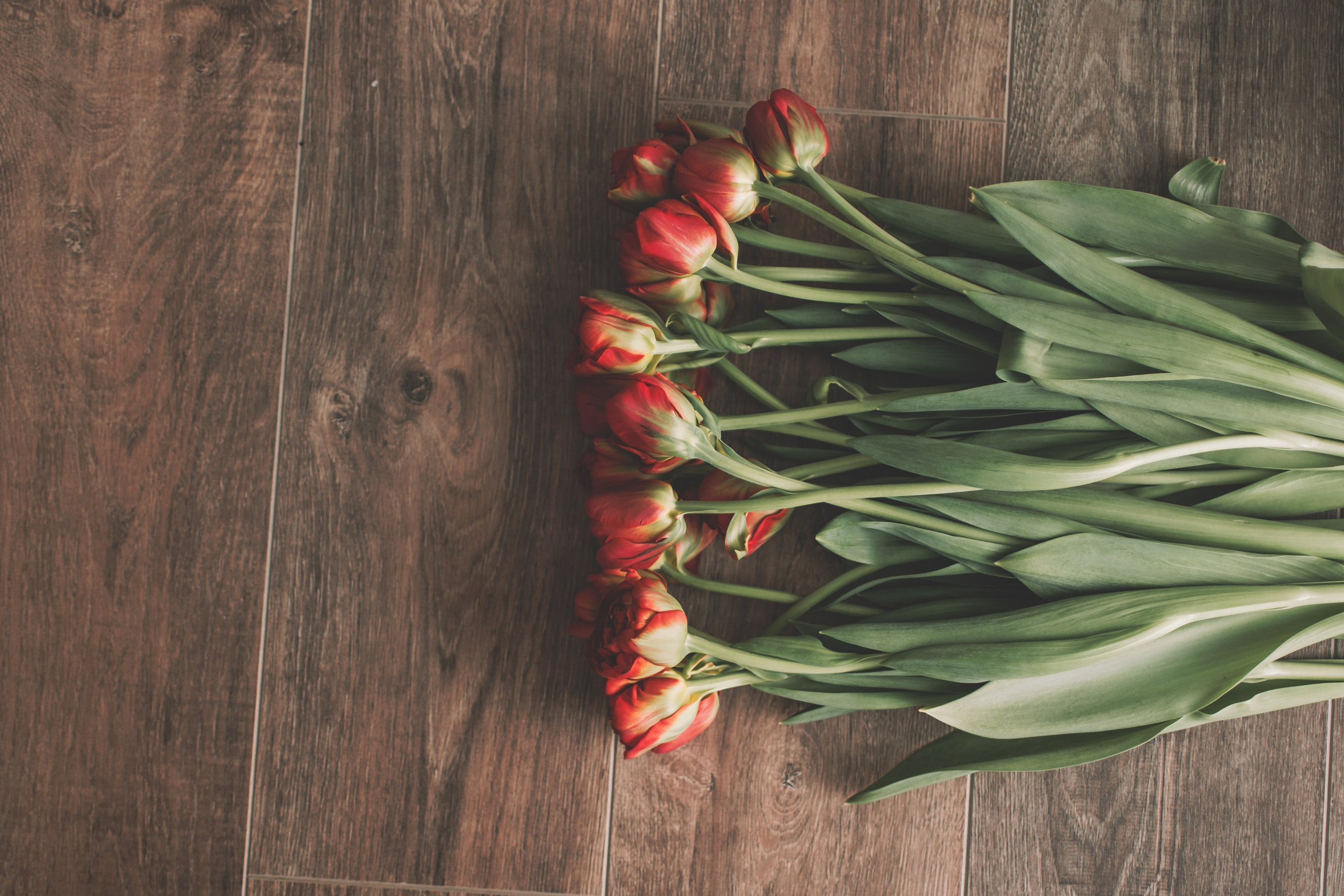 Анна. Семейный и свадебный фотограф Губкинский и Ставрополь