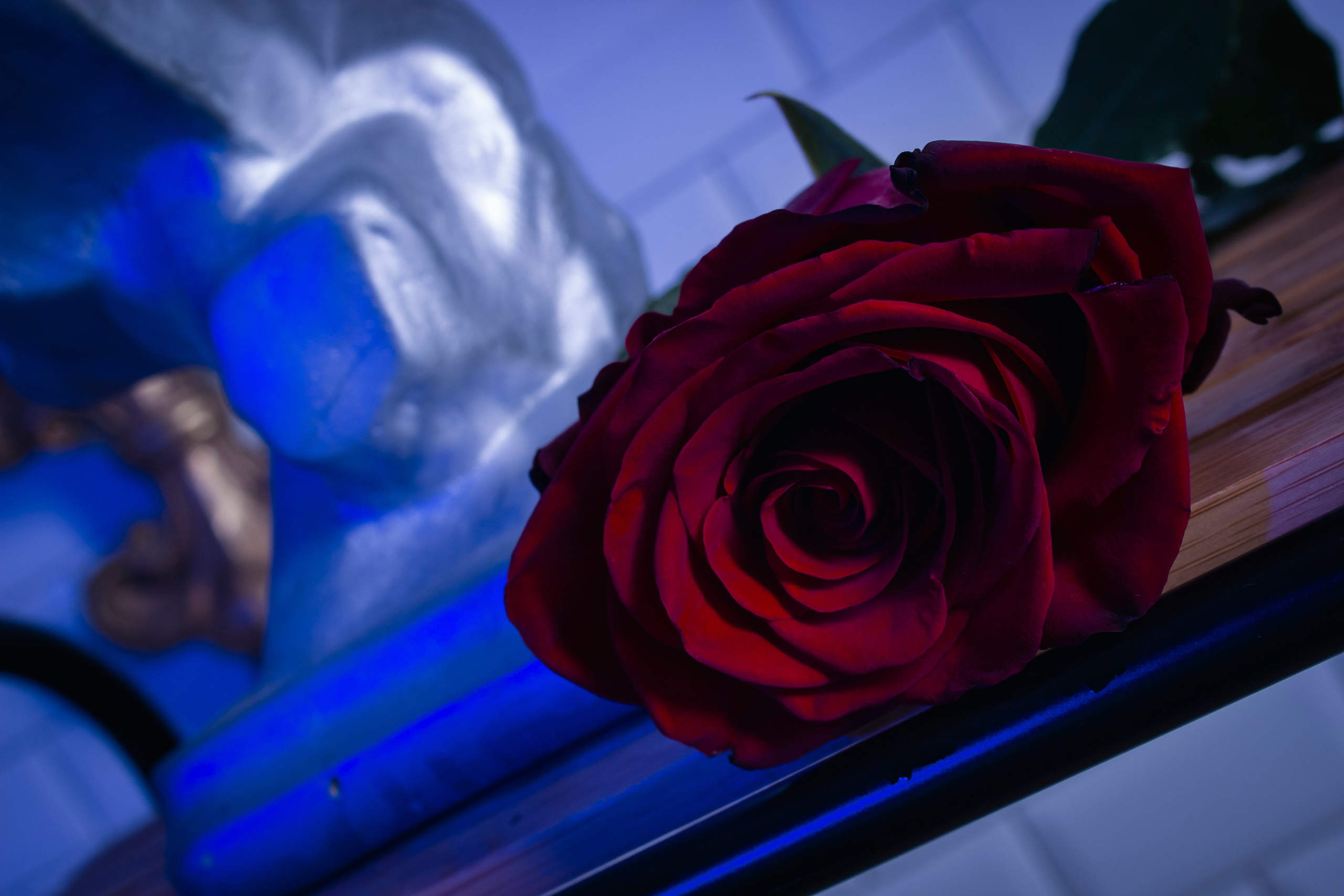 Ярослав. Портретный и репортажный фотограф в Москве Кира Елинова