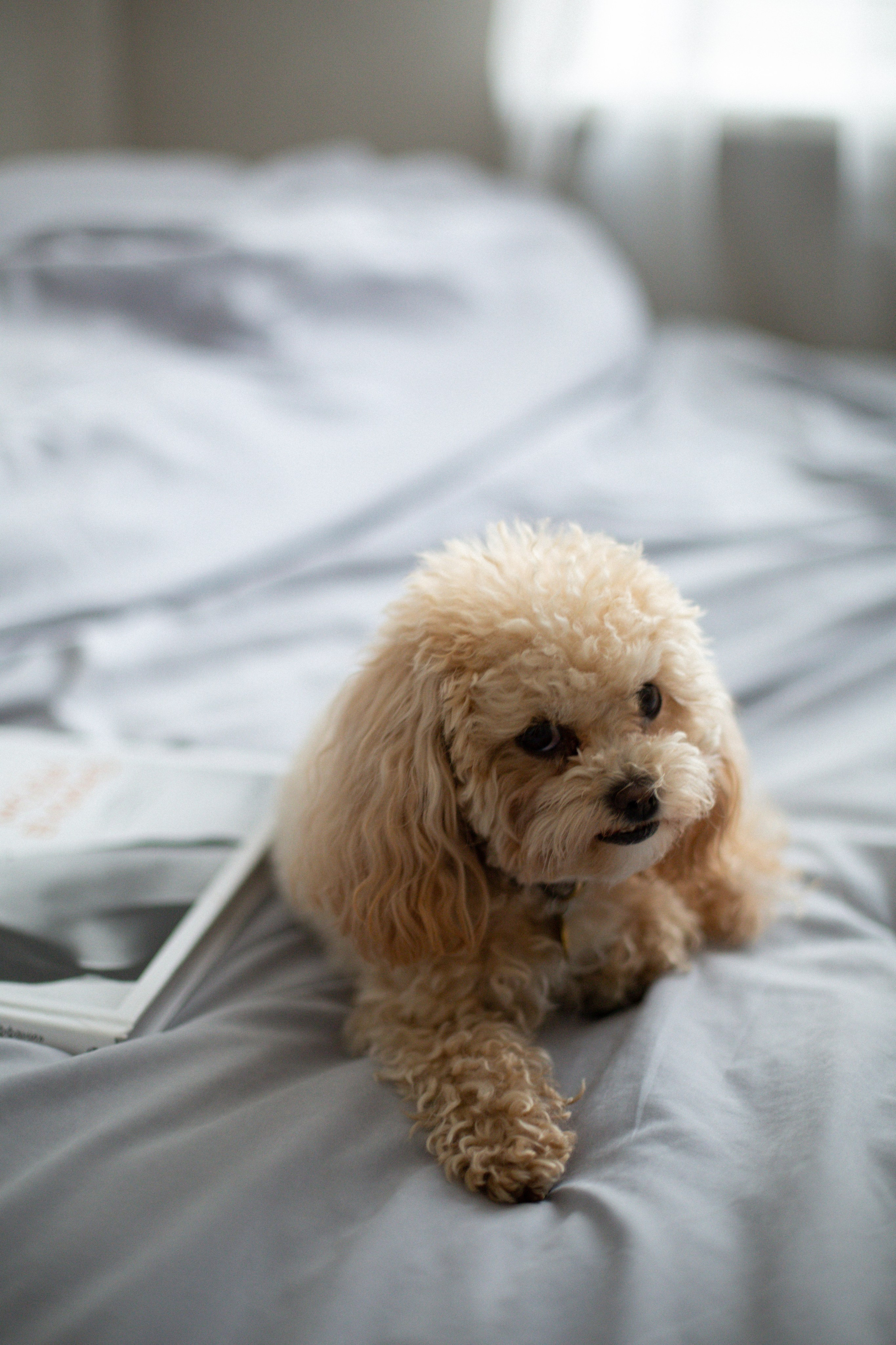 Саша. Фотограф в Москве Юлия Былинина