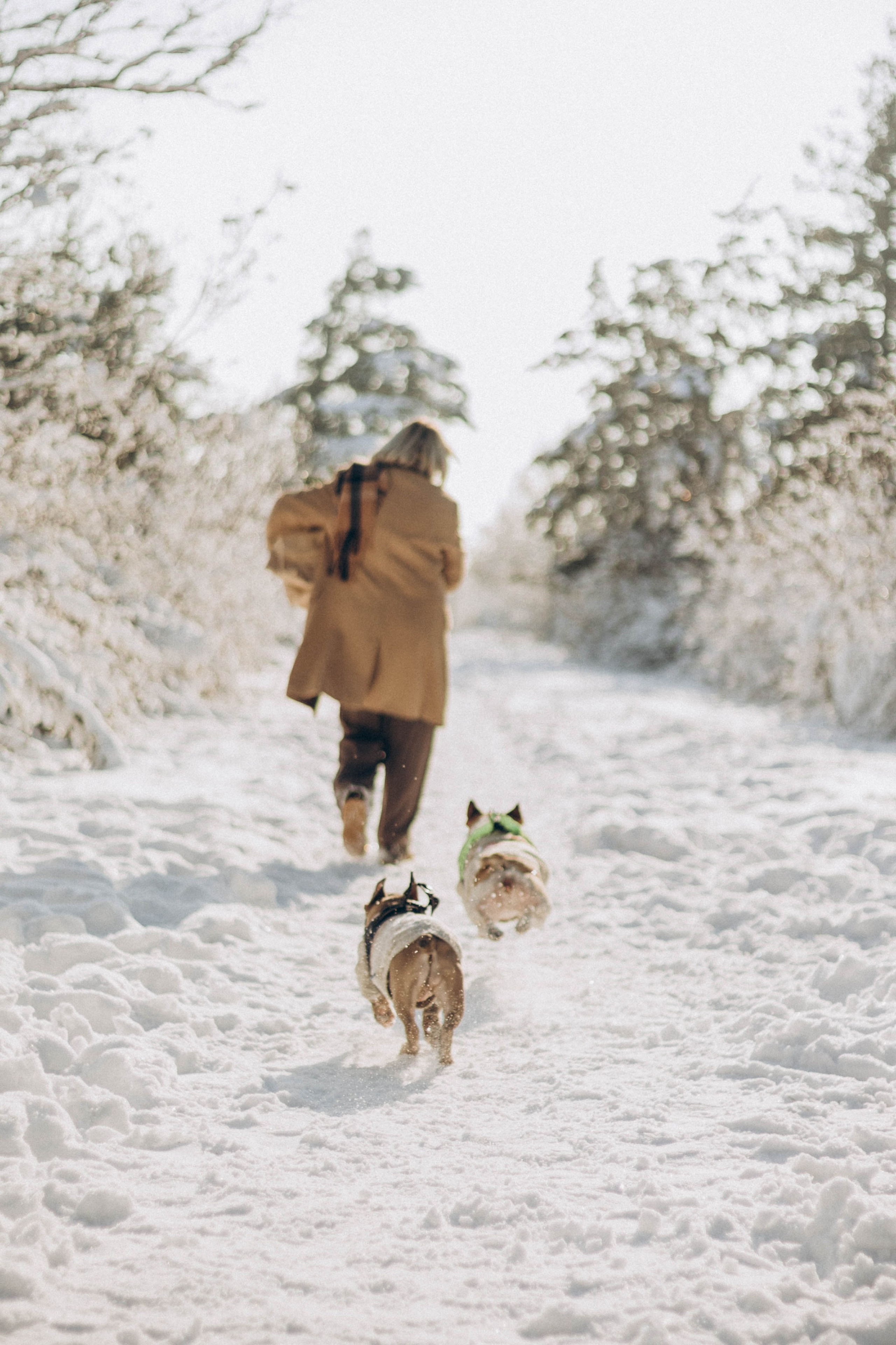 Зима. Семейный фотограф Наталия Демченко, Краснодар