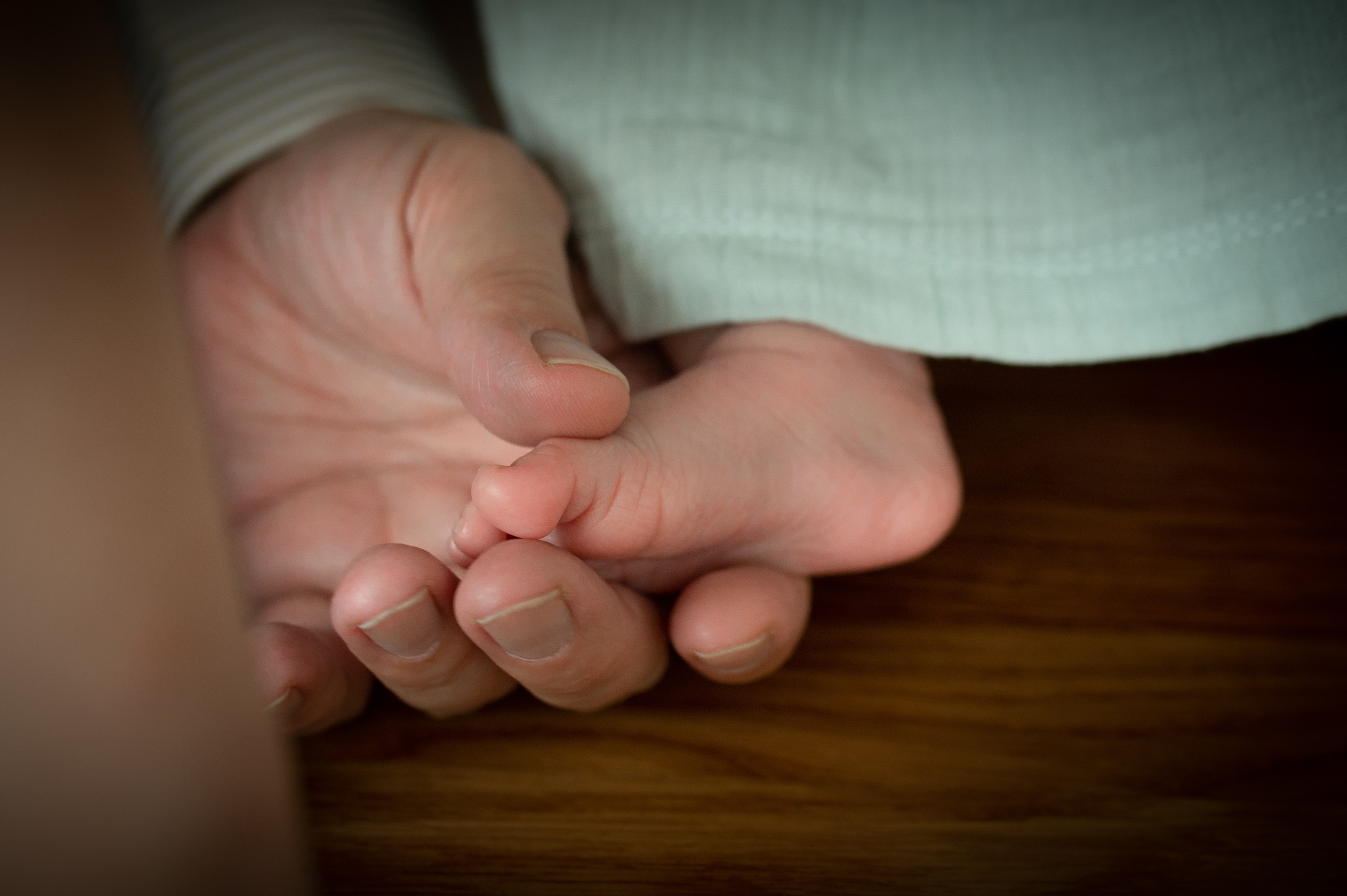 Домашняя съемка с детьми. Семейный фотограф в Москве Ольга Барсукова