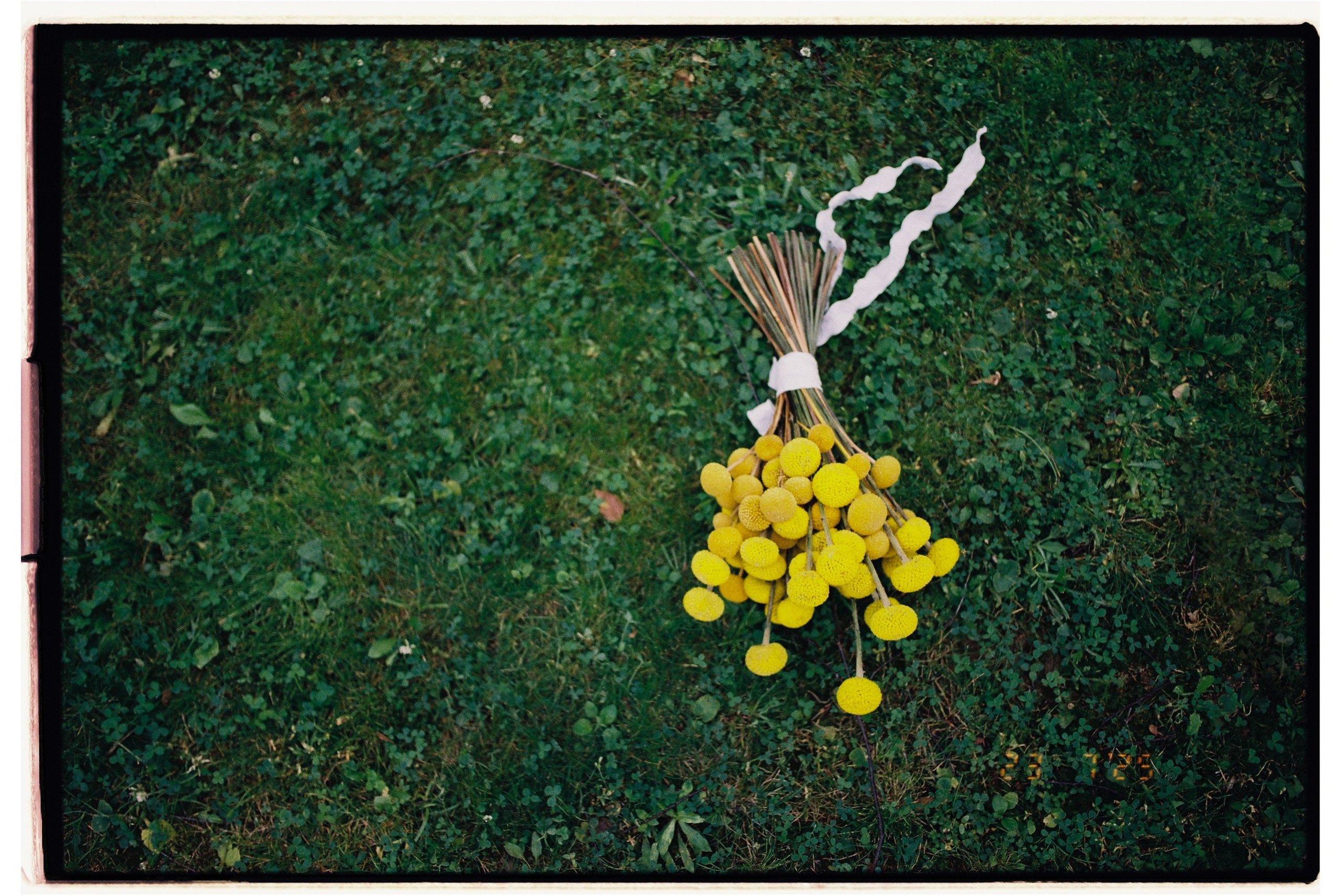 Артем и Полина. Свадебный фотограф в Москве Евгений Рыжов