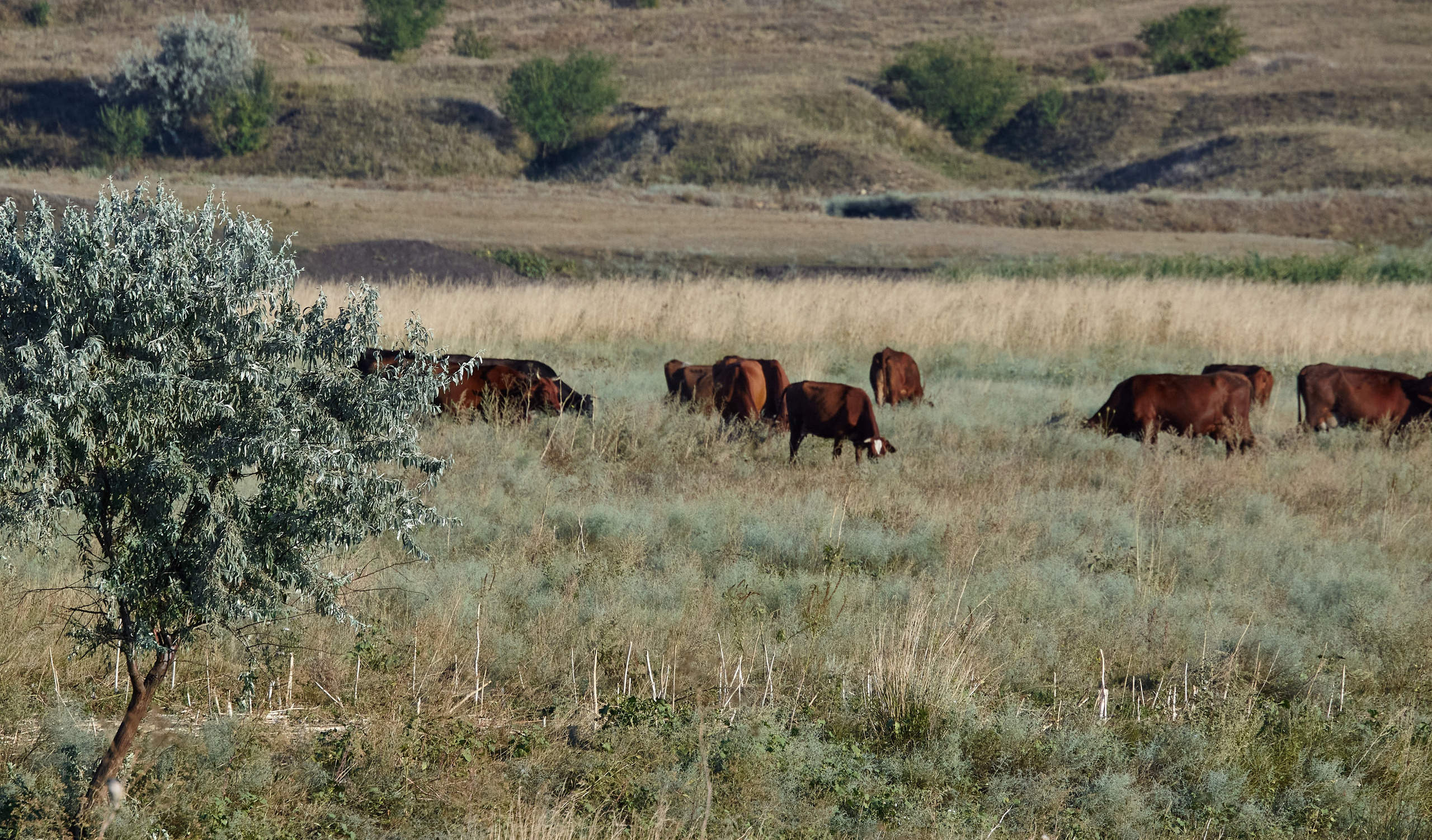 Крым. Пейзажи Крайнего Севера. Баренцево море, Рыбачий, Средний, Немецкий