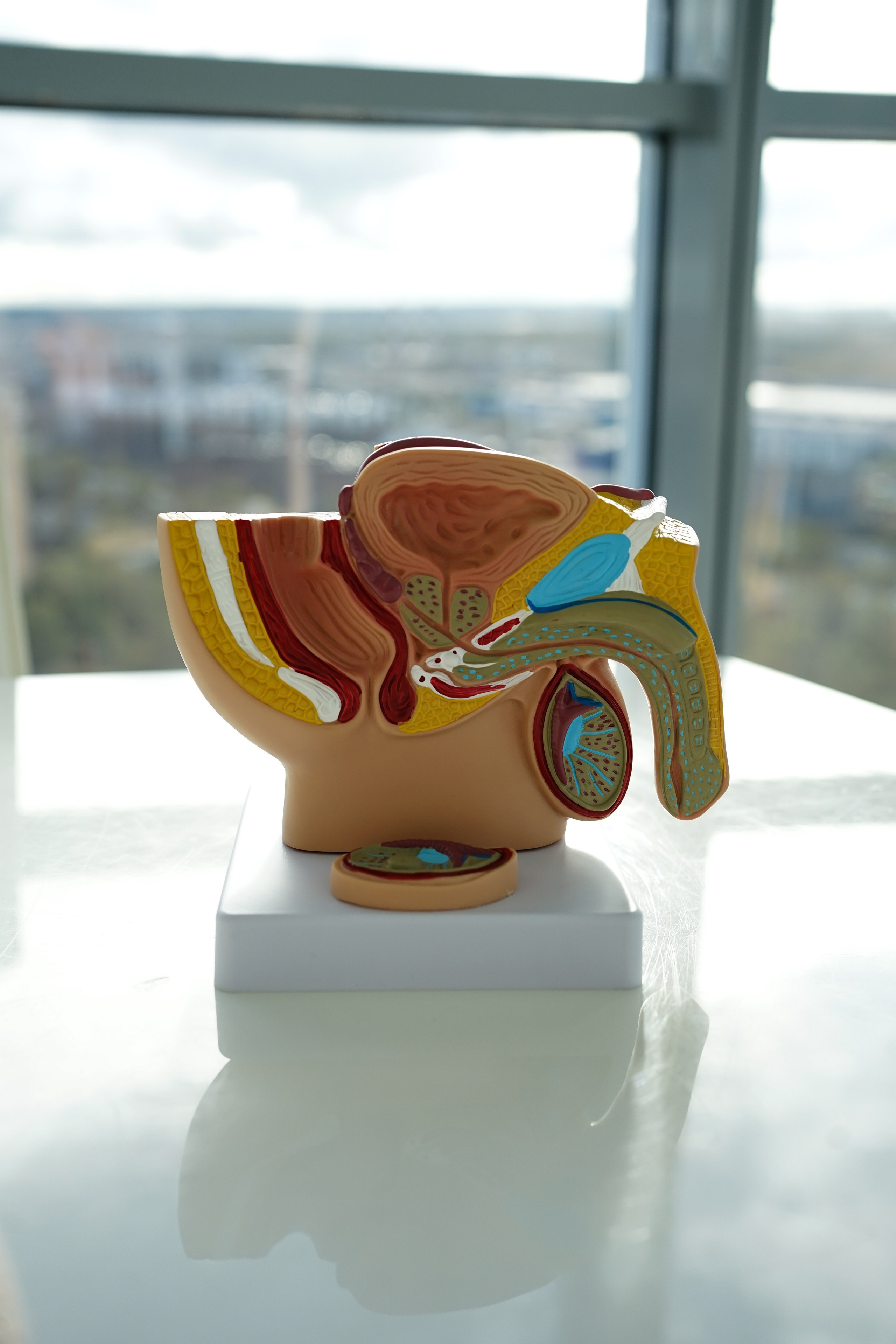 Ксения Эксперт по половому созреванию. Фотограф Ольга Игорева