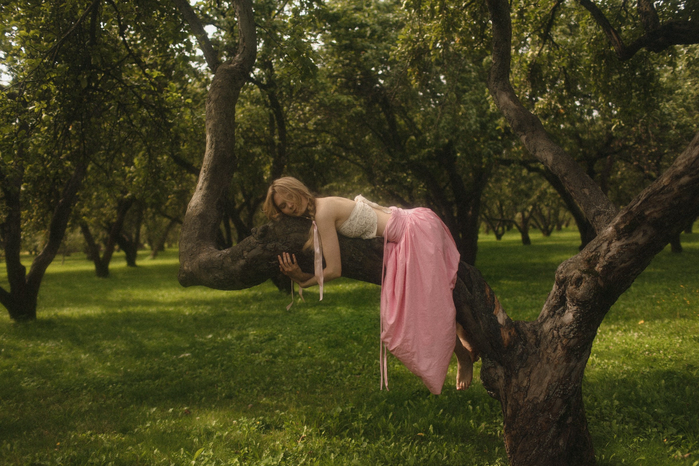 Яблоки. Семейный фотограф в Москве Алевтина Носова