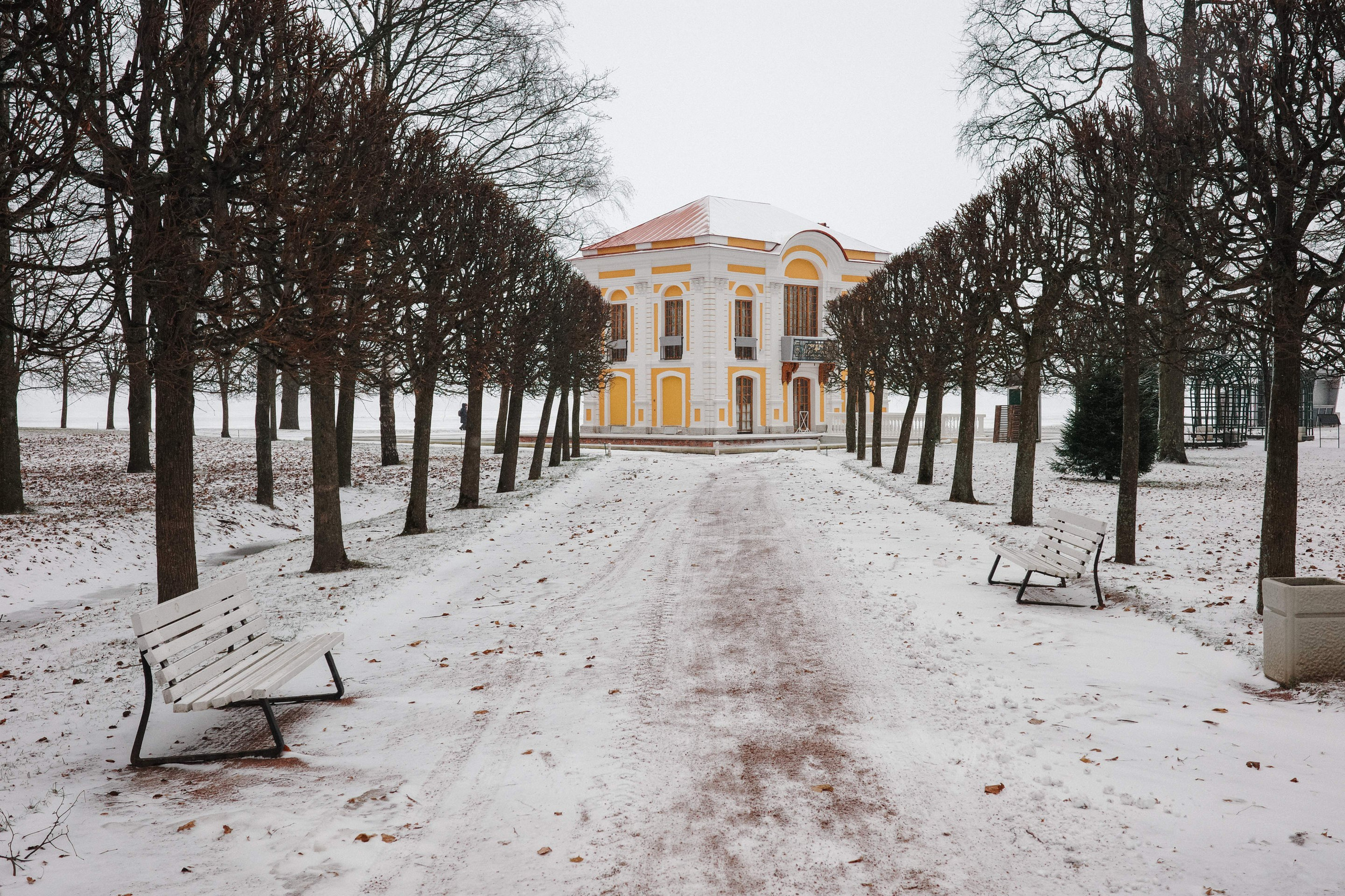 2025.02. Фотограф Алексей Алексеев