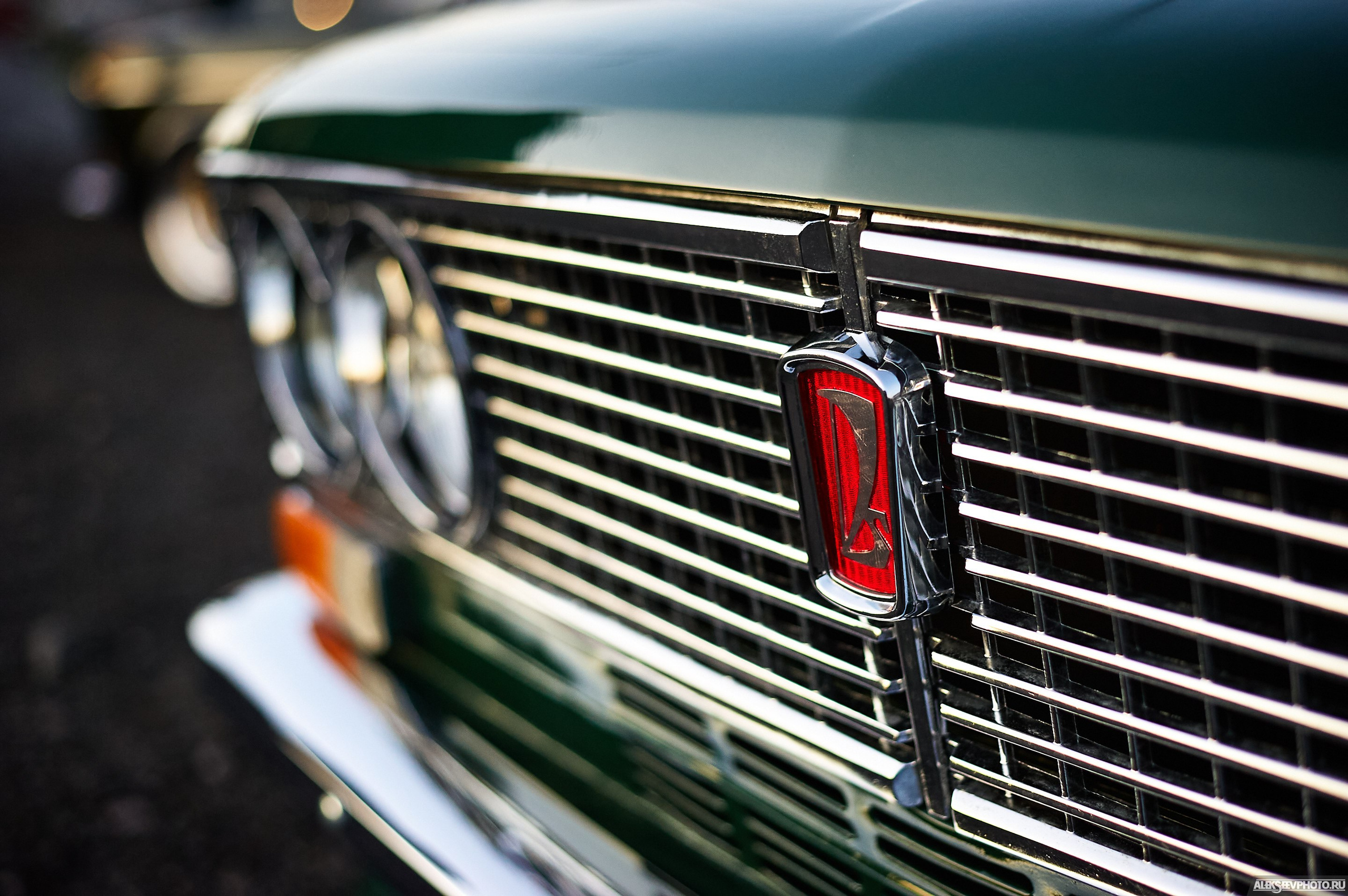 Tsunami Picnic 2020 — expo. Фотограф Алексей Алексеев