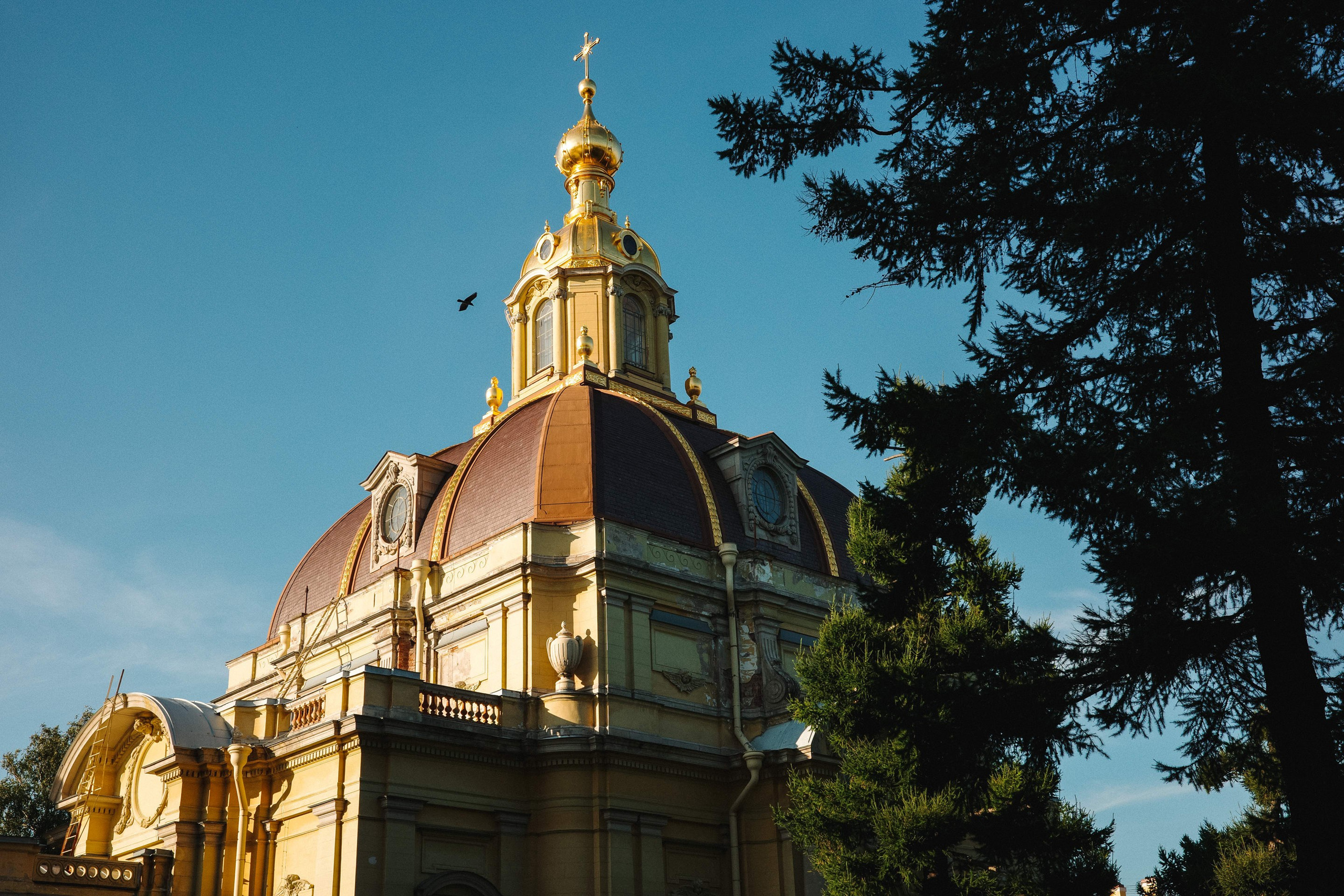 2024.08. Фотограф Алексей Алексеев