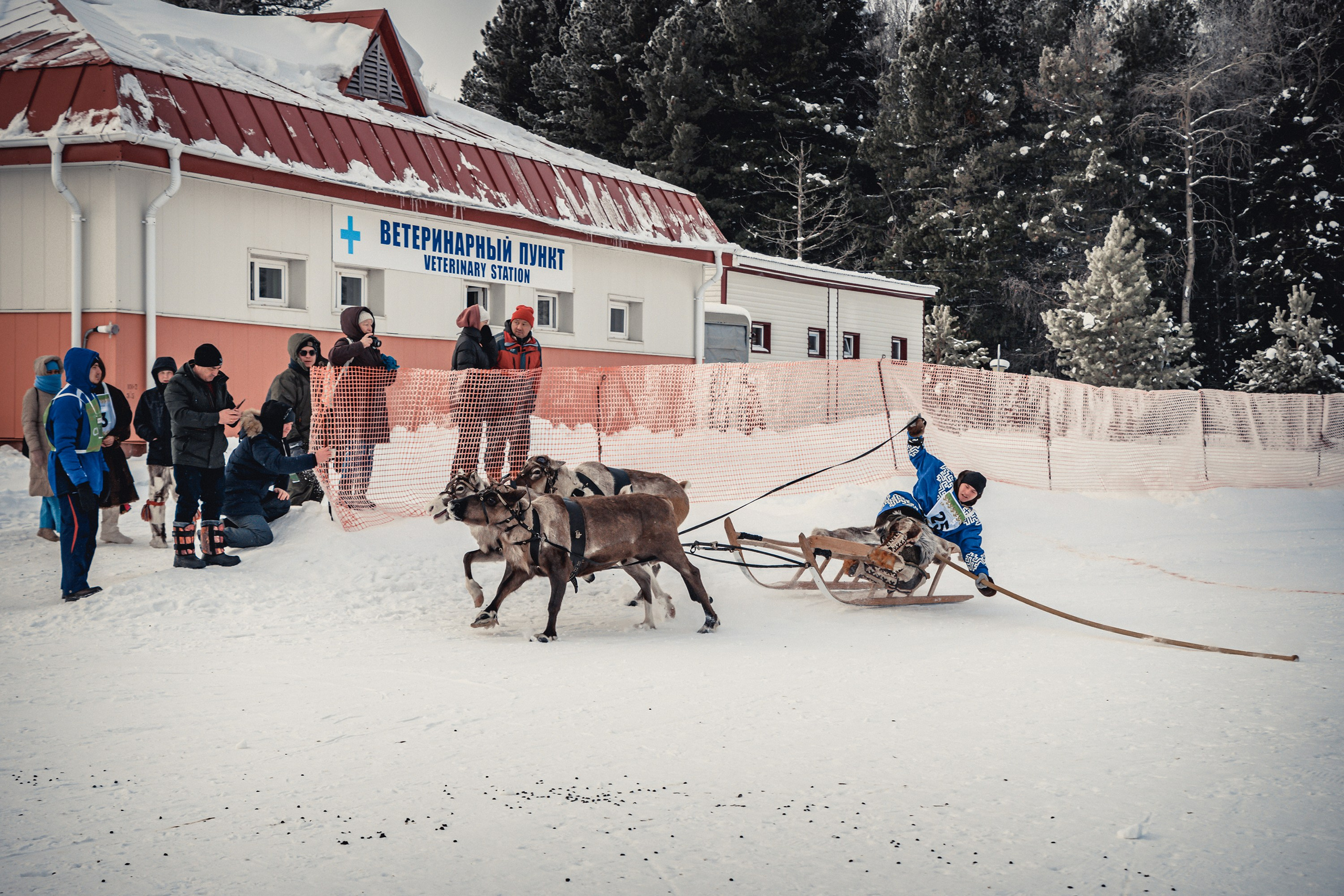 Конкурс оленеводов. Фотограф в Ханты-Мансийске Евгений Жуланов