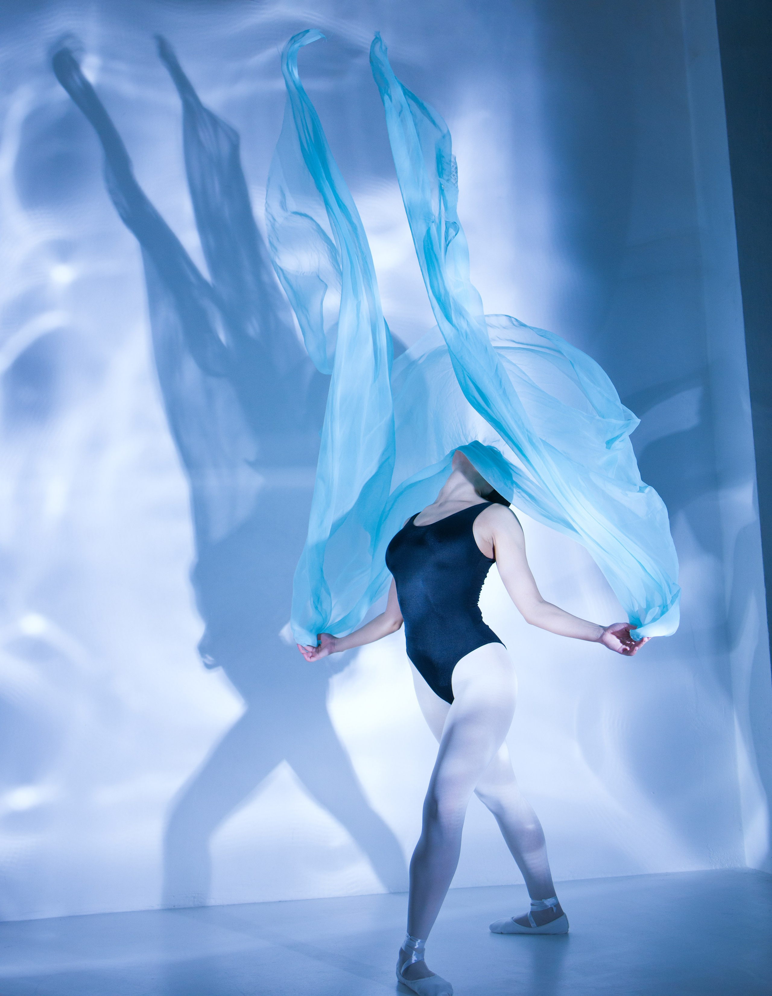 Лилия. Художественная фотография