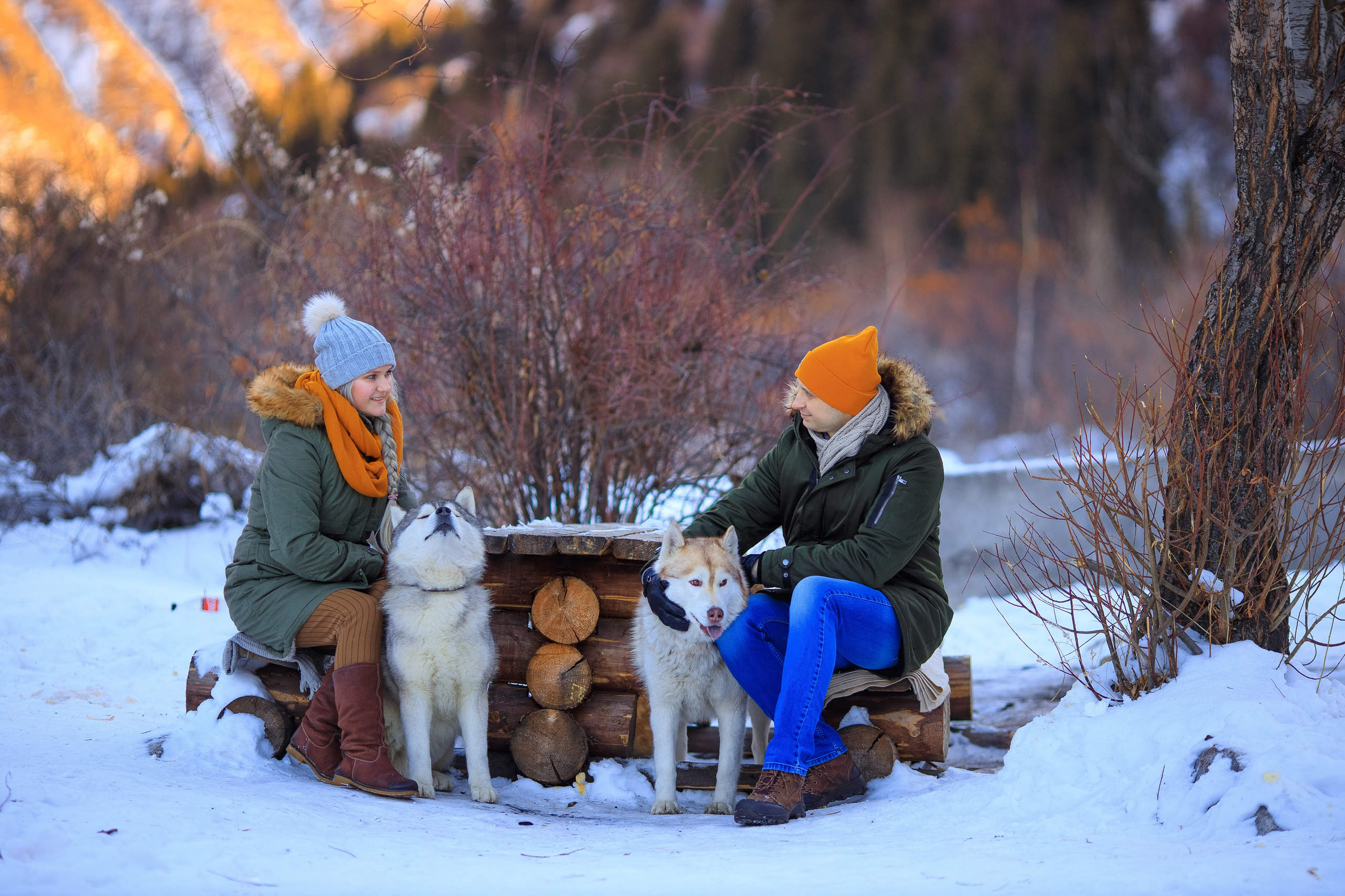 Зимняя фотосессия с Хаски. Свадебный и семейный фотограф в Алматы Алексей Балышев